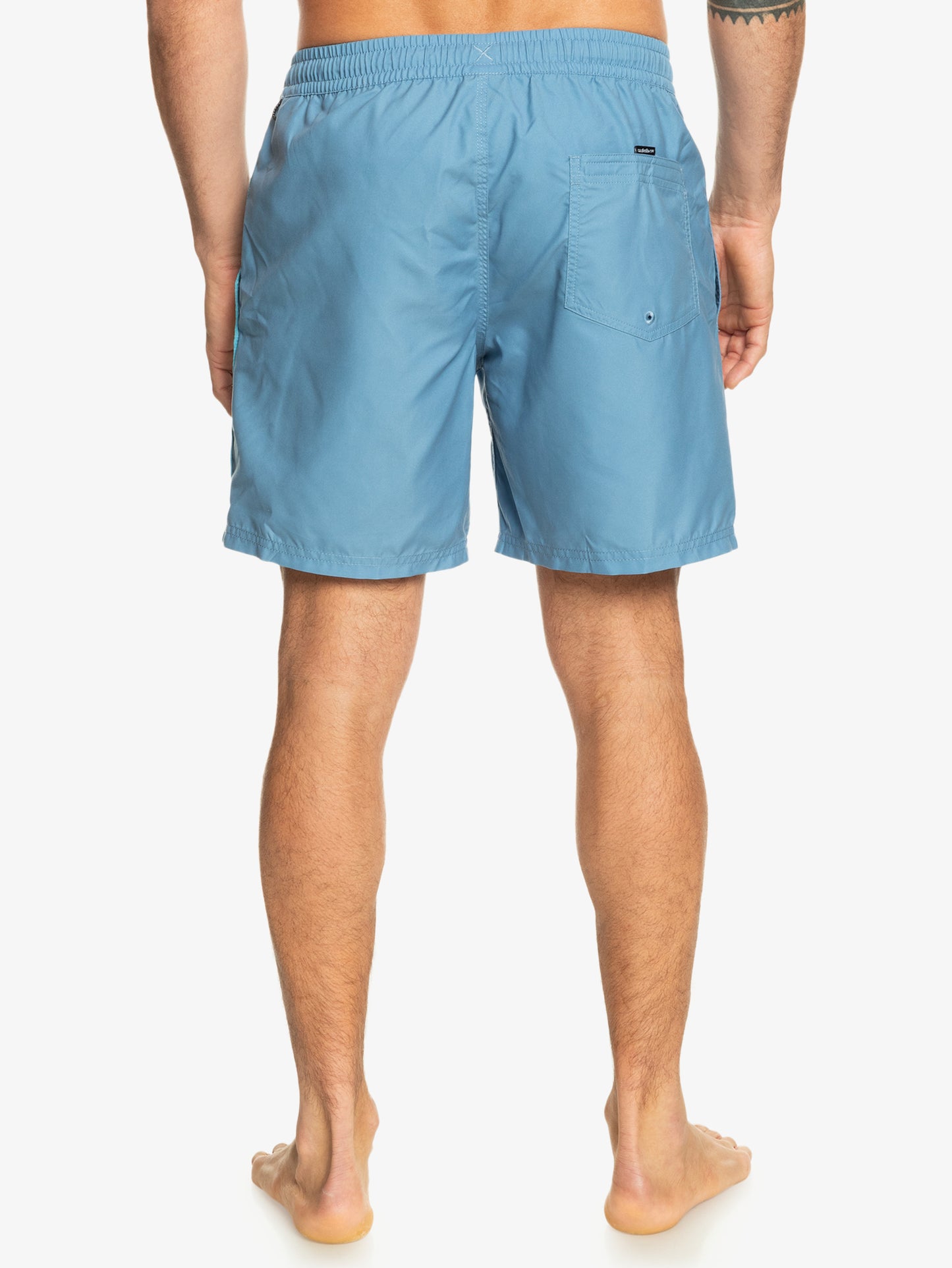 Mens Everyday Vert Volley 17" Swim Shorts - Quiksilver Malaysia