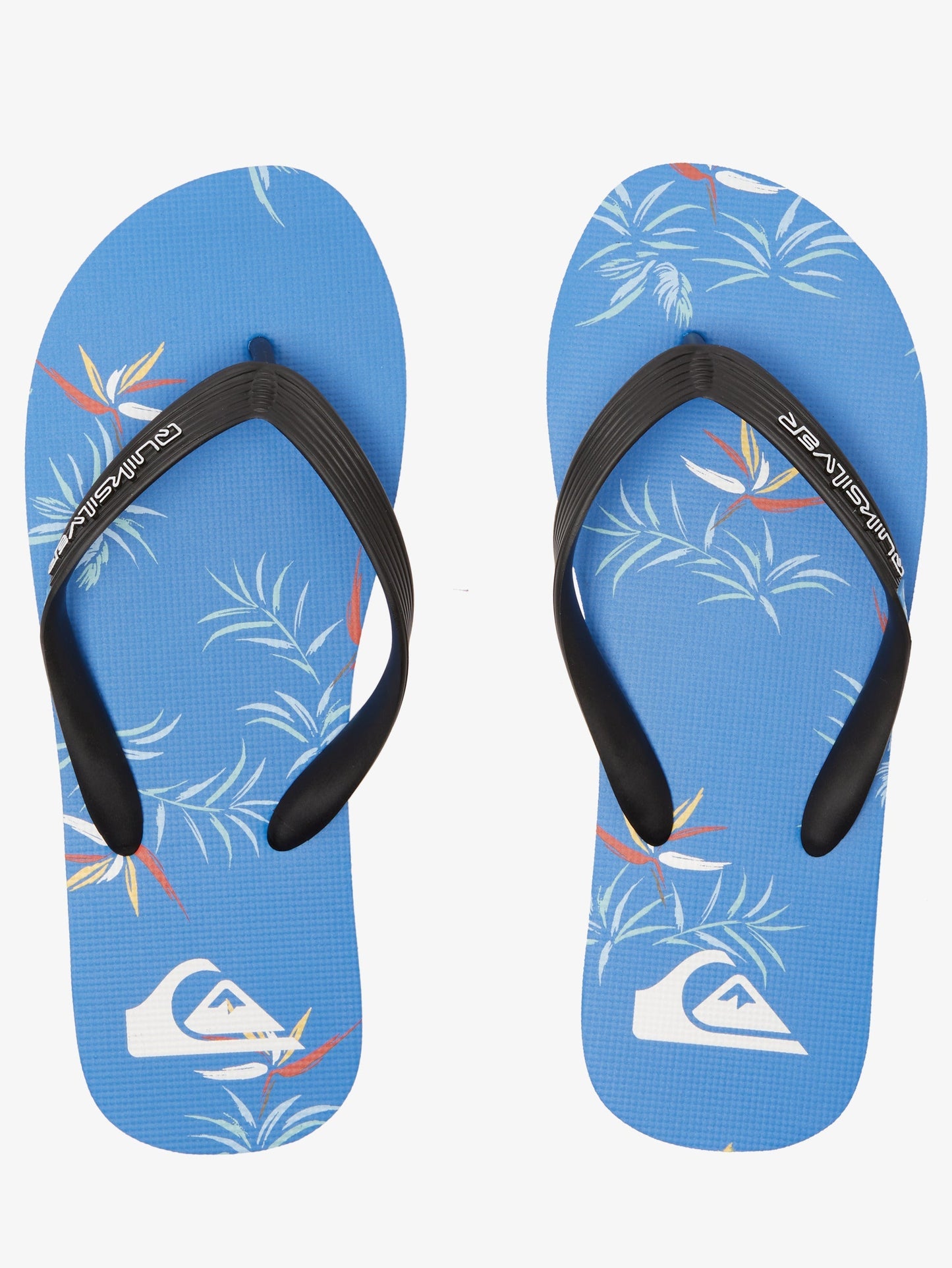 Mens Molokai Art Gregg Kaplan Flip Flops - Quiksilver Malaysia