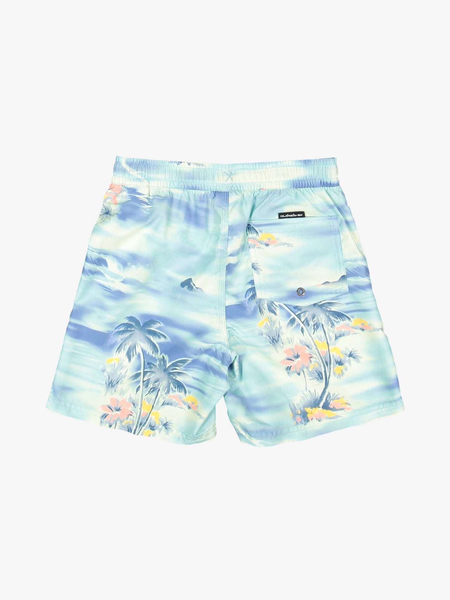 Boys 8-16 Everyday 14" Swim Shorts - Quiksilver Malaysia
