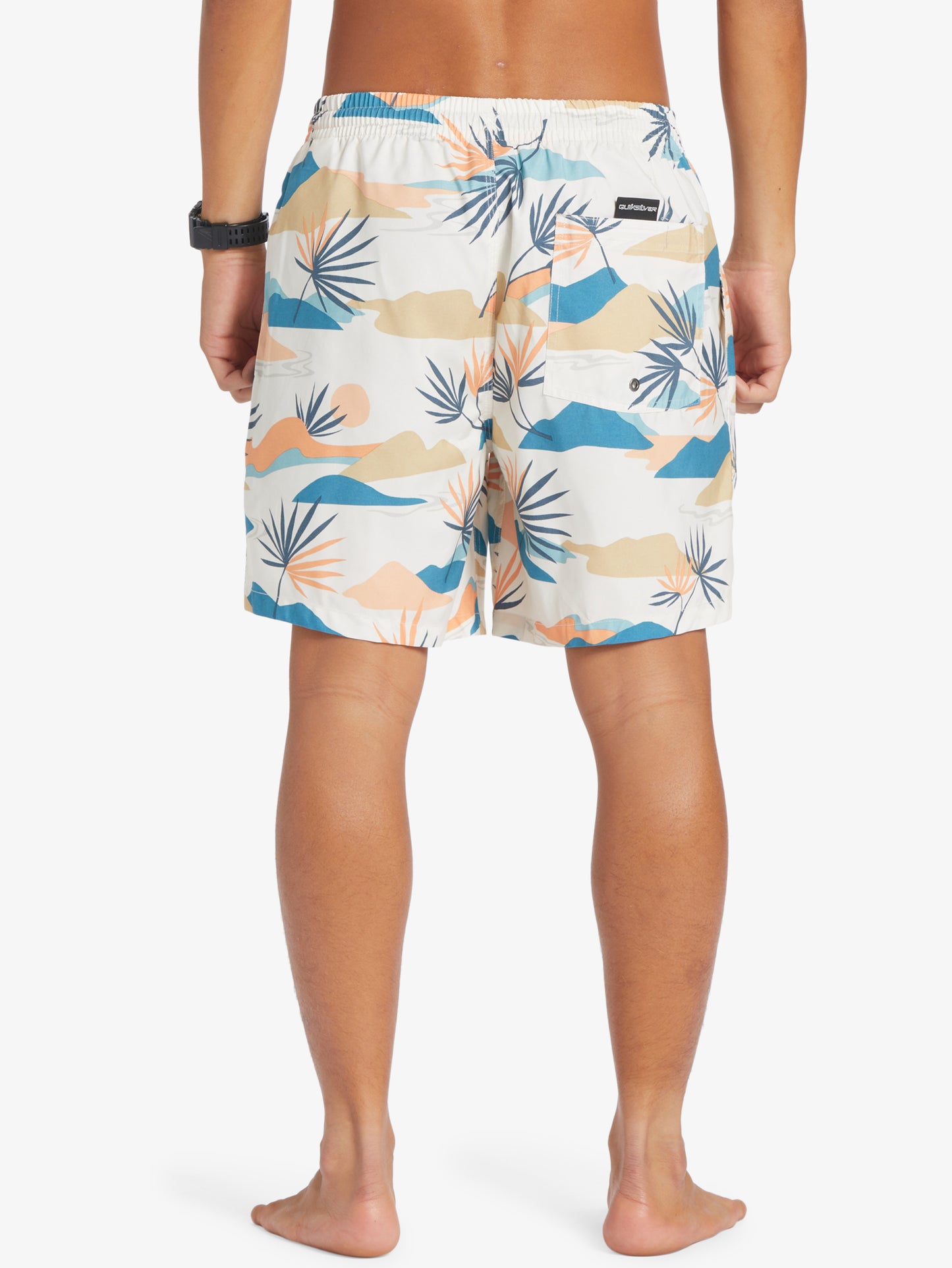 Mens Everyday Mix 17" Swim Shorts - Quiksilver Malaysia