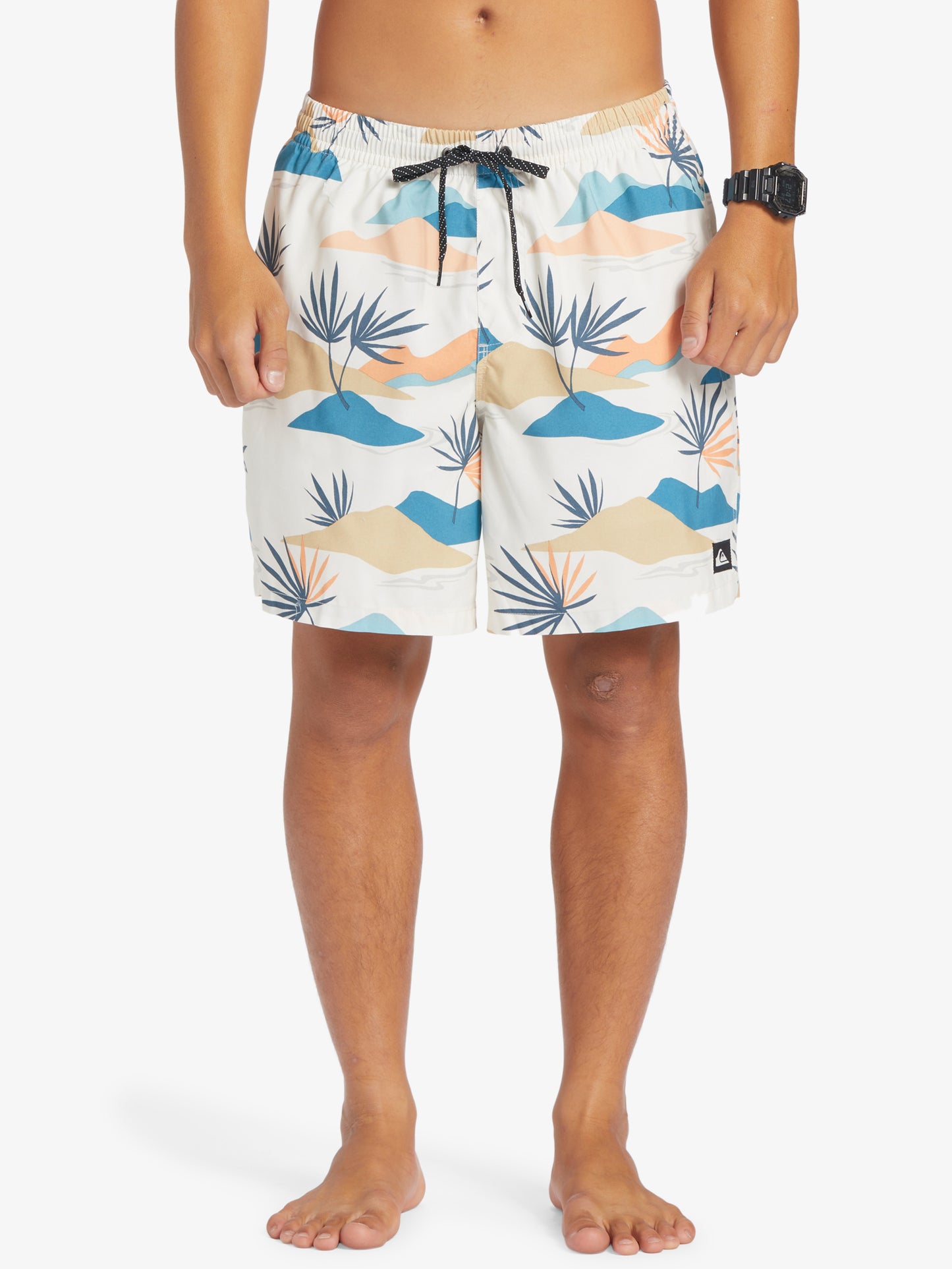 Mens Everyday Mix 17" Swim Shorts - Quiksilver Malaysia