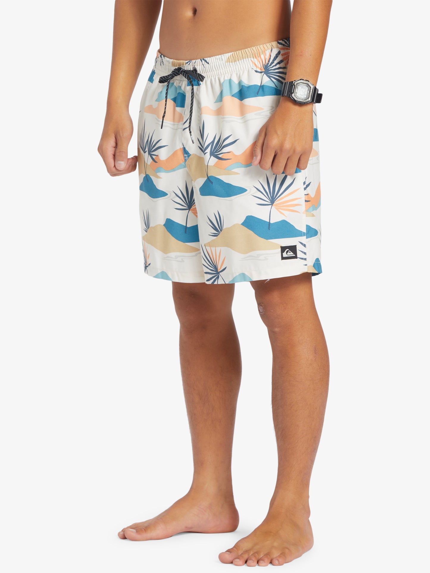 Mens Everyday Mix 17" Swim Shorts - Quiksilver Malaysia
