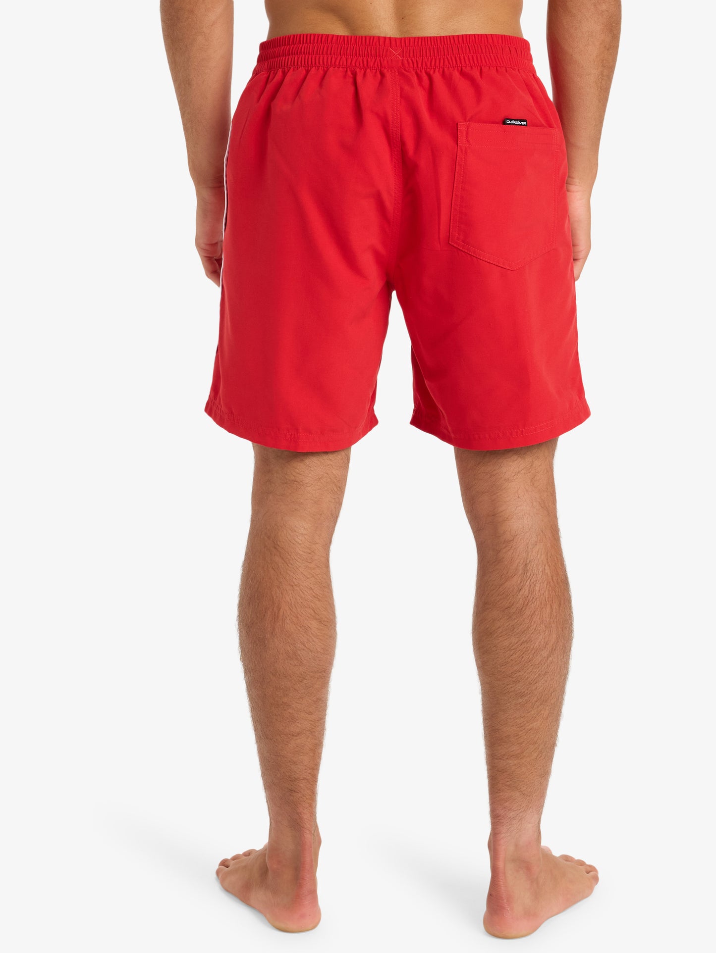 Mens Everyday Volley 17" Swim Shorts - Quiksilver Malaysia