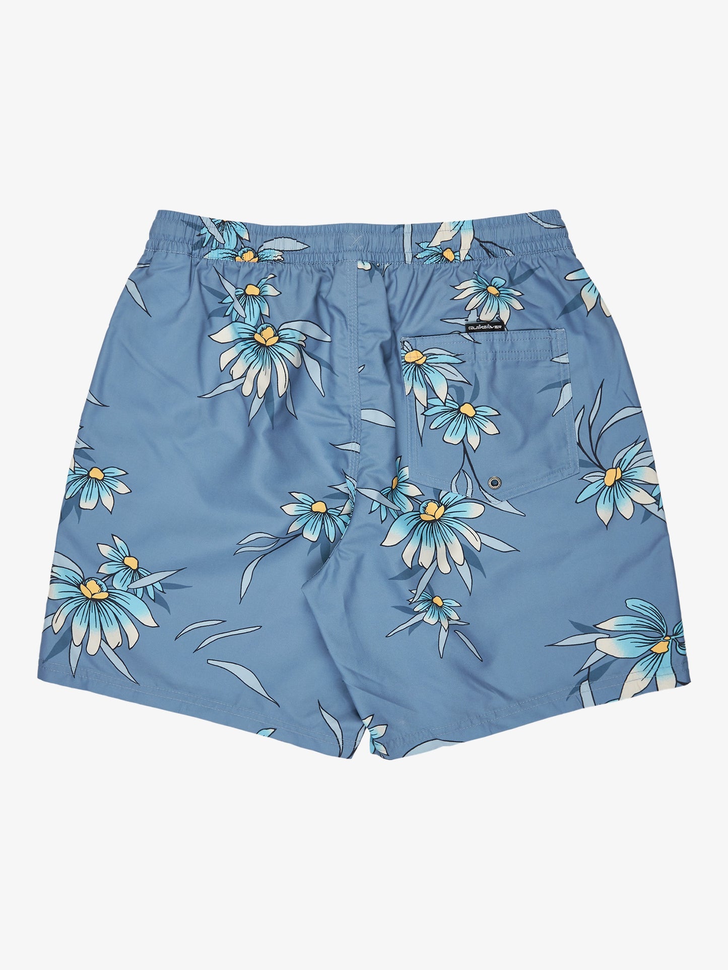 Mens Everyday Straight 17" Swim Shorts - Quiksilver Malaysia