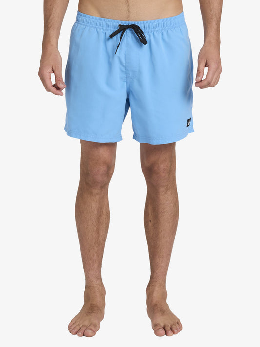 Mens Everyday Surfwash 17" Swim Shorts - Quiksilver Malaysia