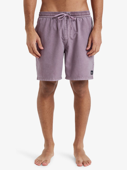 Mens Everyday Surfwash 17" Swim Shorts - Quiksilver Malaysia