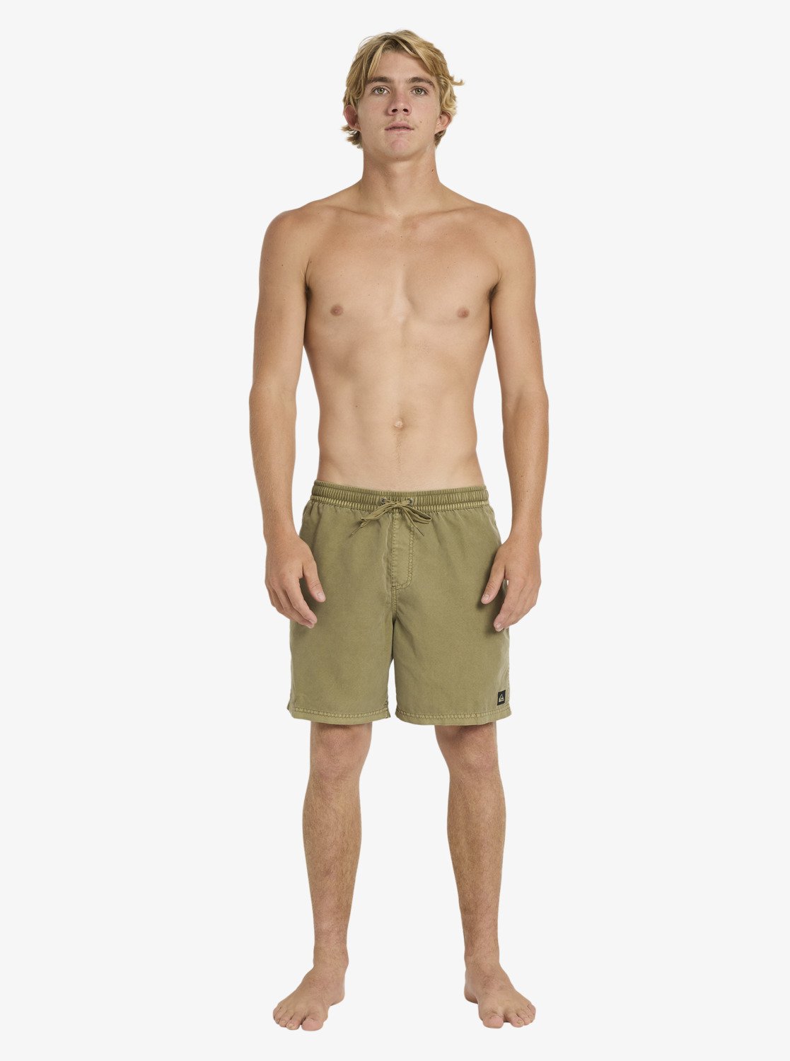 Mens Everyday Surfwash Volley Swim Shorts - Quiksilver Malaysia