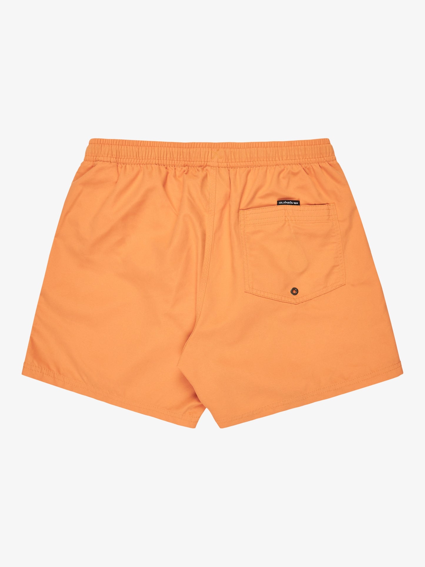Mens Everyday Solid 15" Swim Shorts - Quiksilver Malaysia
