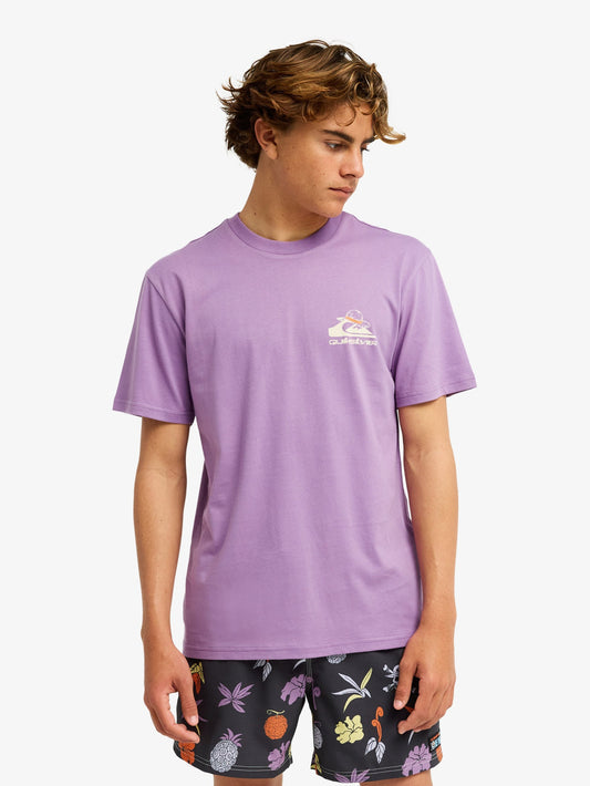 Mens One Piece Merry T-Shirt - Quiksilver Malaysia