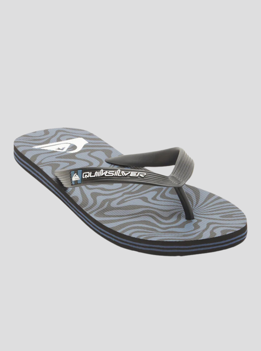 Mens Molokai Art Beach Flip-Flops - Quiksilver Malaysia