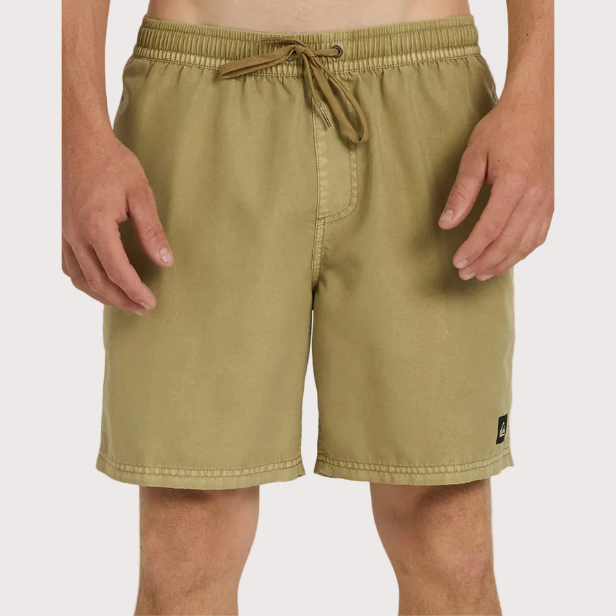 Mens Everyday Surfwash Volley 17Nb Shorts