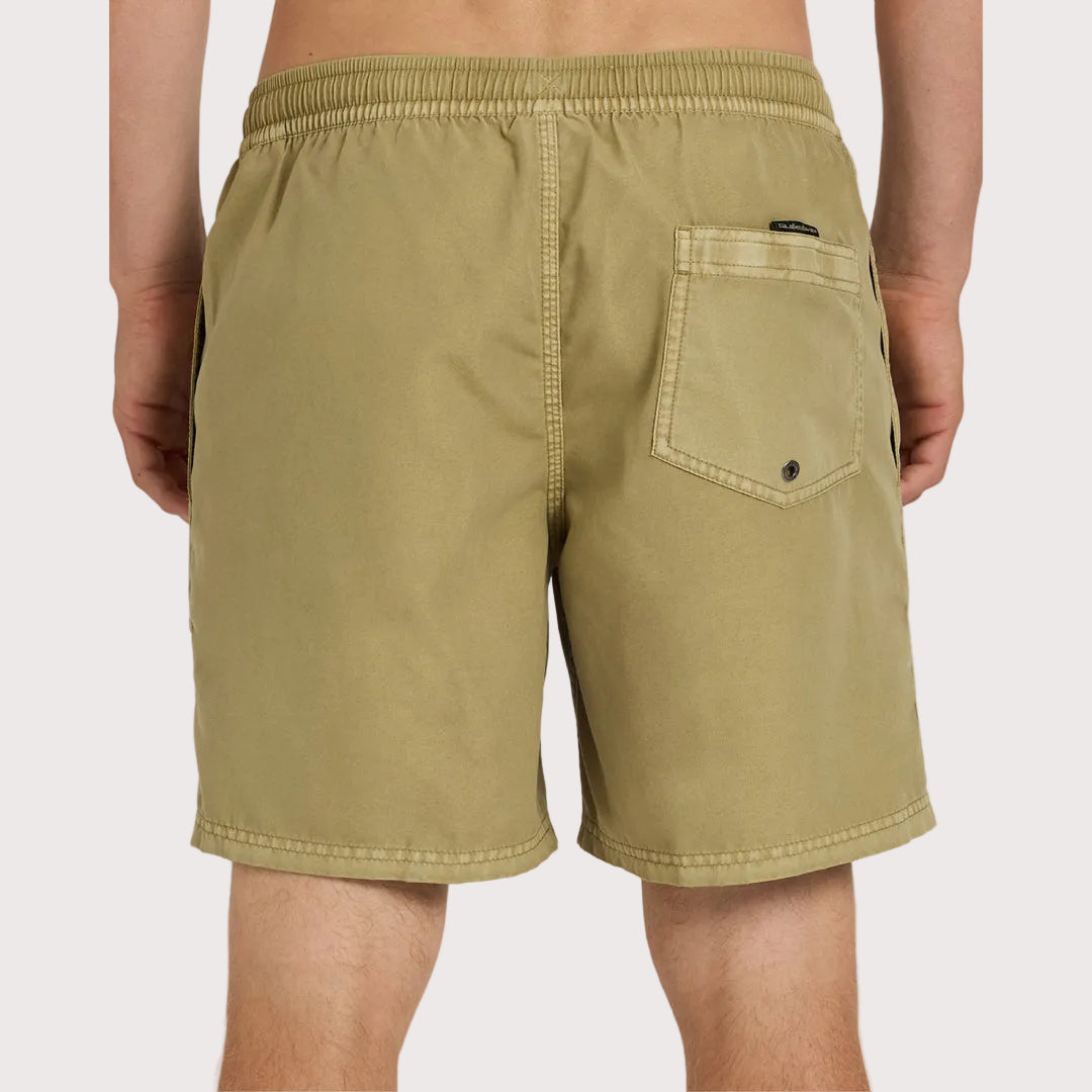 Mens Everyday Surfwash Volley 17Nb Shorts