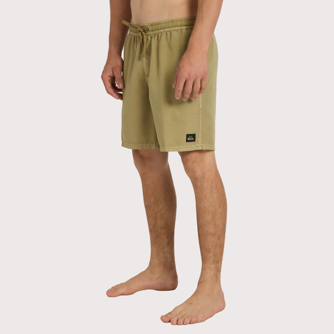 Mens Everyday Surfwash Volley 17Nb Shorts
