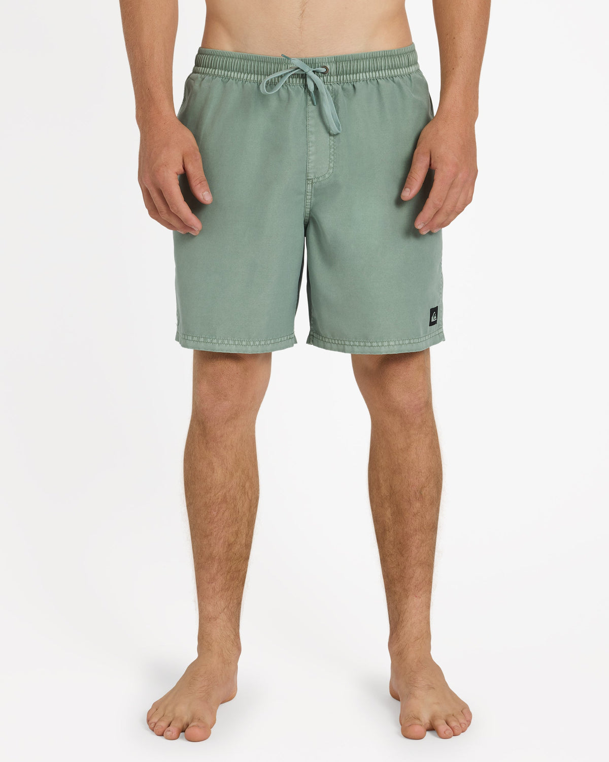 Mens Everyday Surfwash Volley 17 Inch Nb Shorts