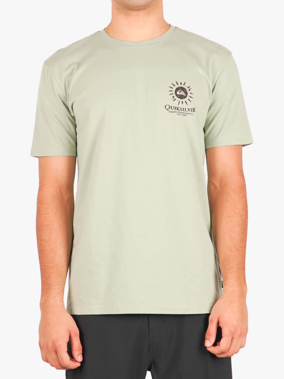 Mens Spring Tide T-Shirt - Quiksilver Malaysia