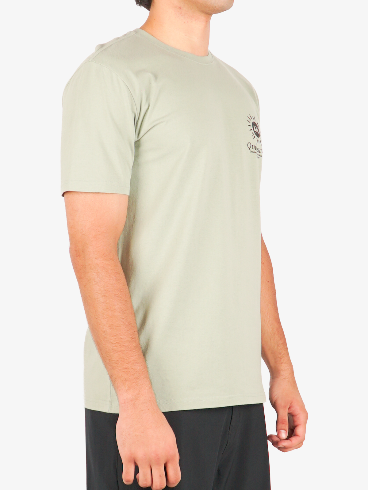 Mens Spring Tide T-Shirt - Quiksilver Malaysia