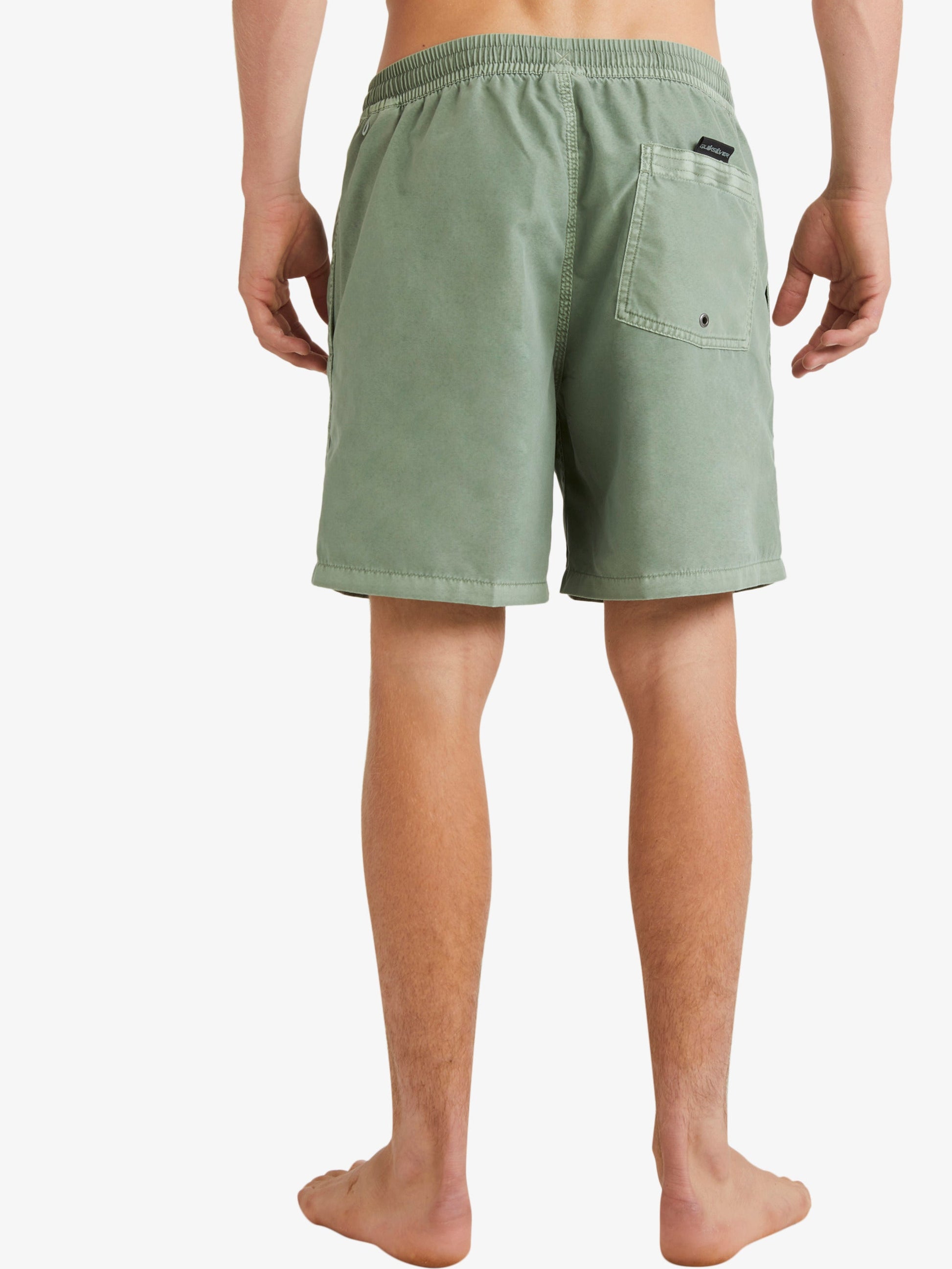 Mens Everyday Surfwash 17" Swim Shorts - Quiksilver Malaysia