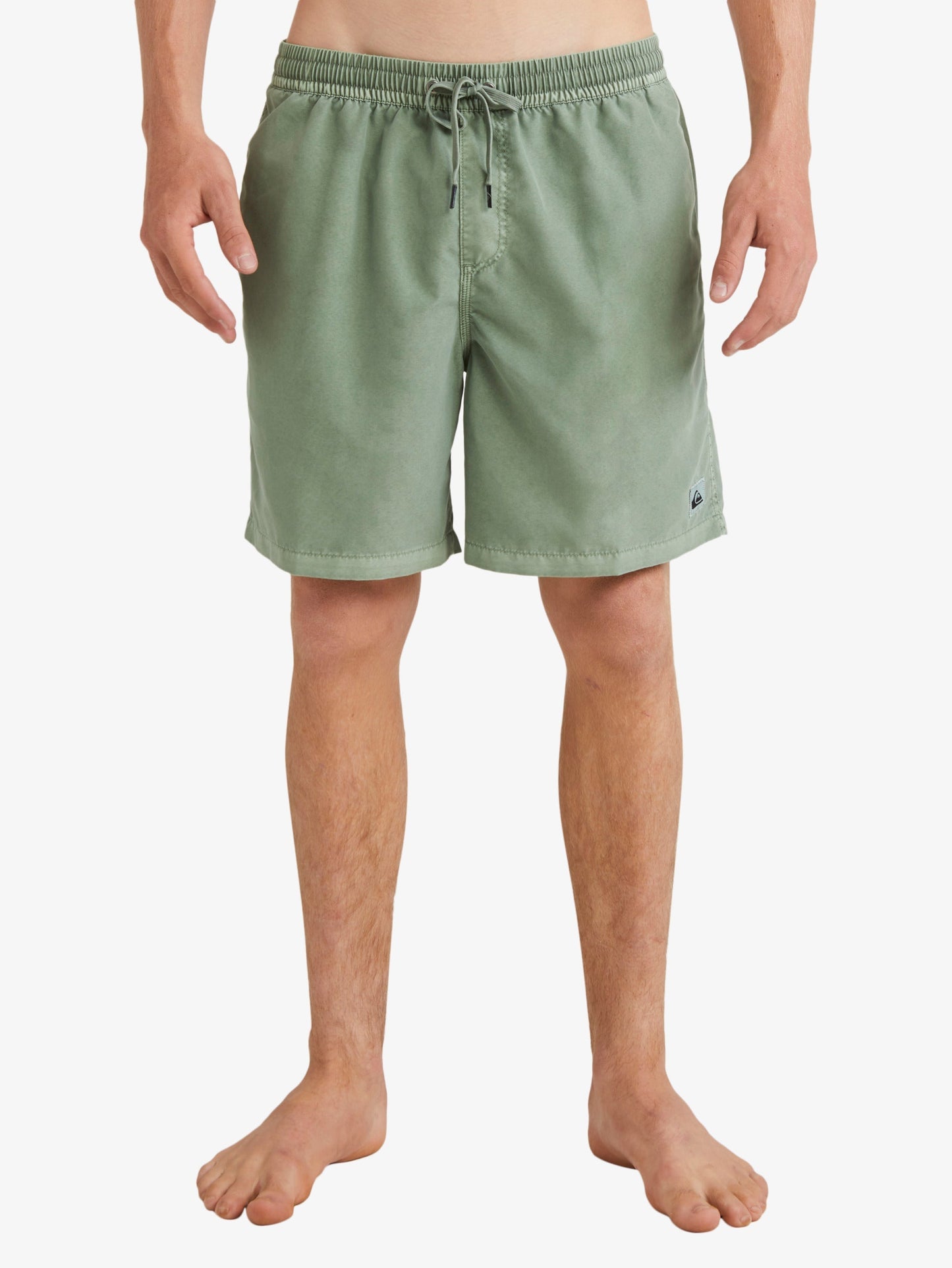 Mens Everyday Surfwash 17" Swim Shorts - Quiksilver Malaysia