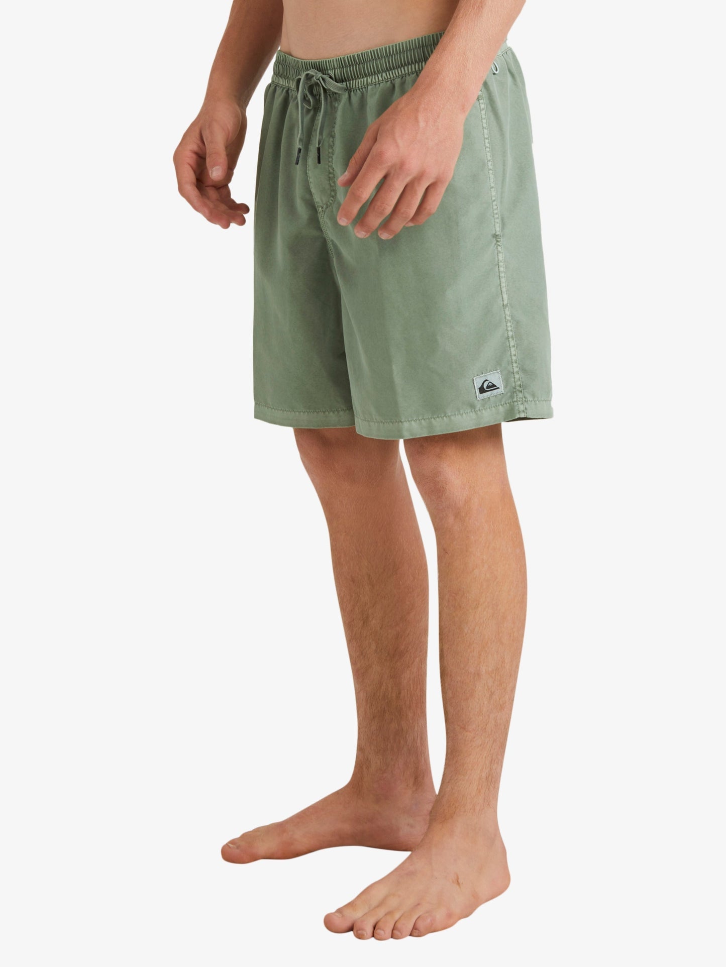 Mens Everyday Surfwash 17" Swim Shorts - Quiksilver Malaysia