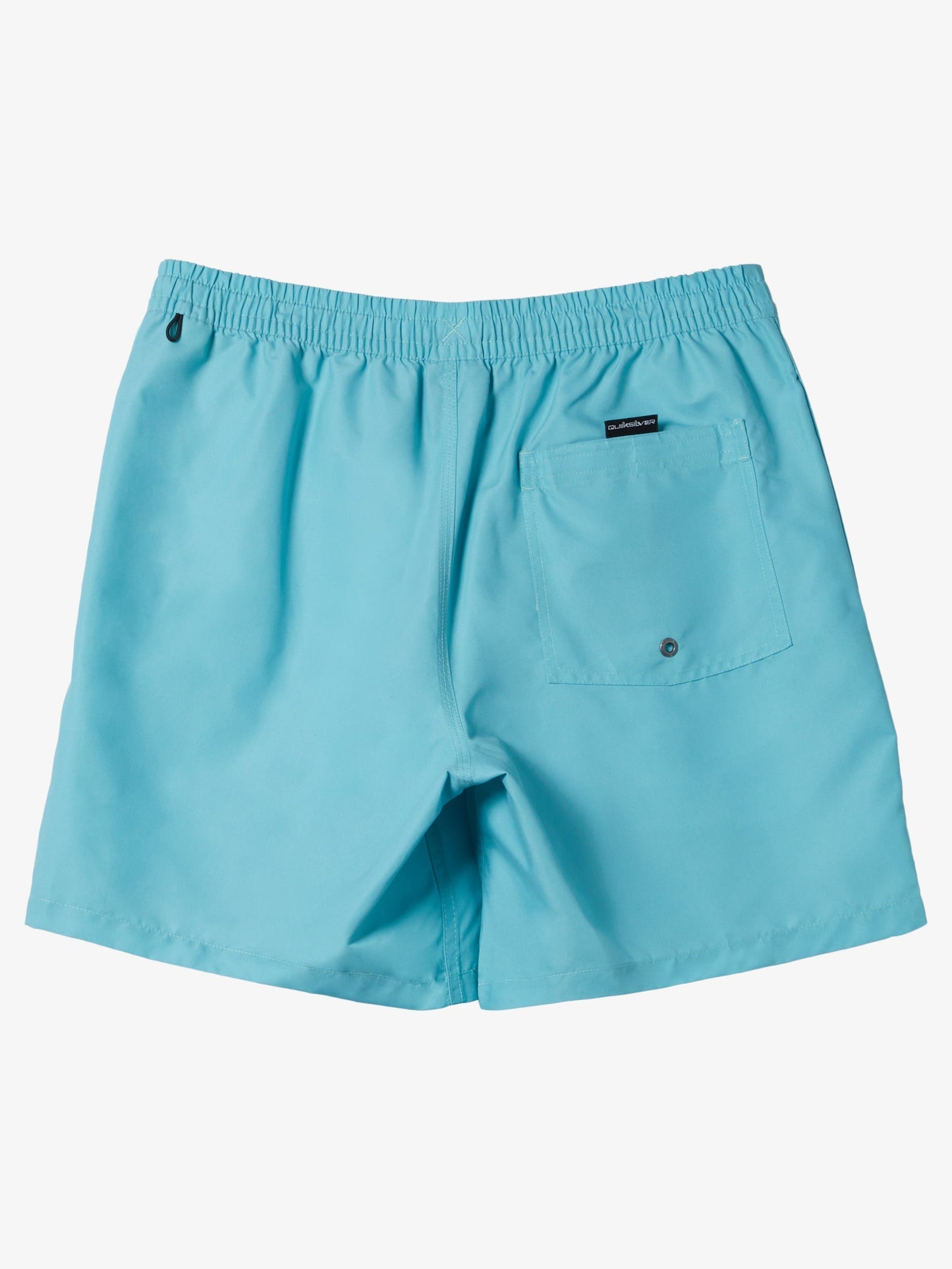 Mens Everyday Vert Volley 17" Swim Shorts - Quiksilver Malaysia