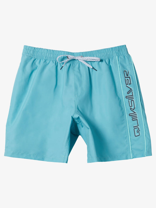 Mens Everyday Vert Volley 17" Swim Shorts - Quiksilver Malaysia