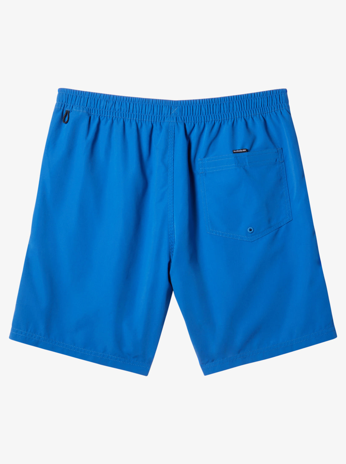 Mens Everyday Vert Volley 17" Swim Shorts - Quiksilver Malaysia