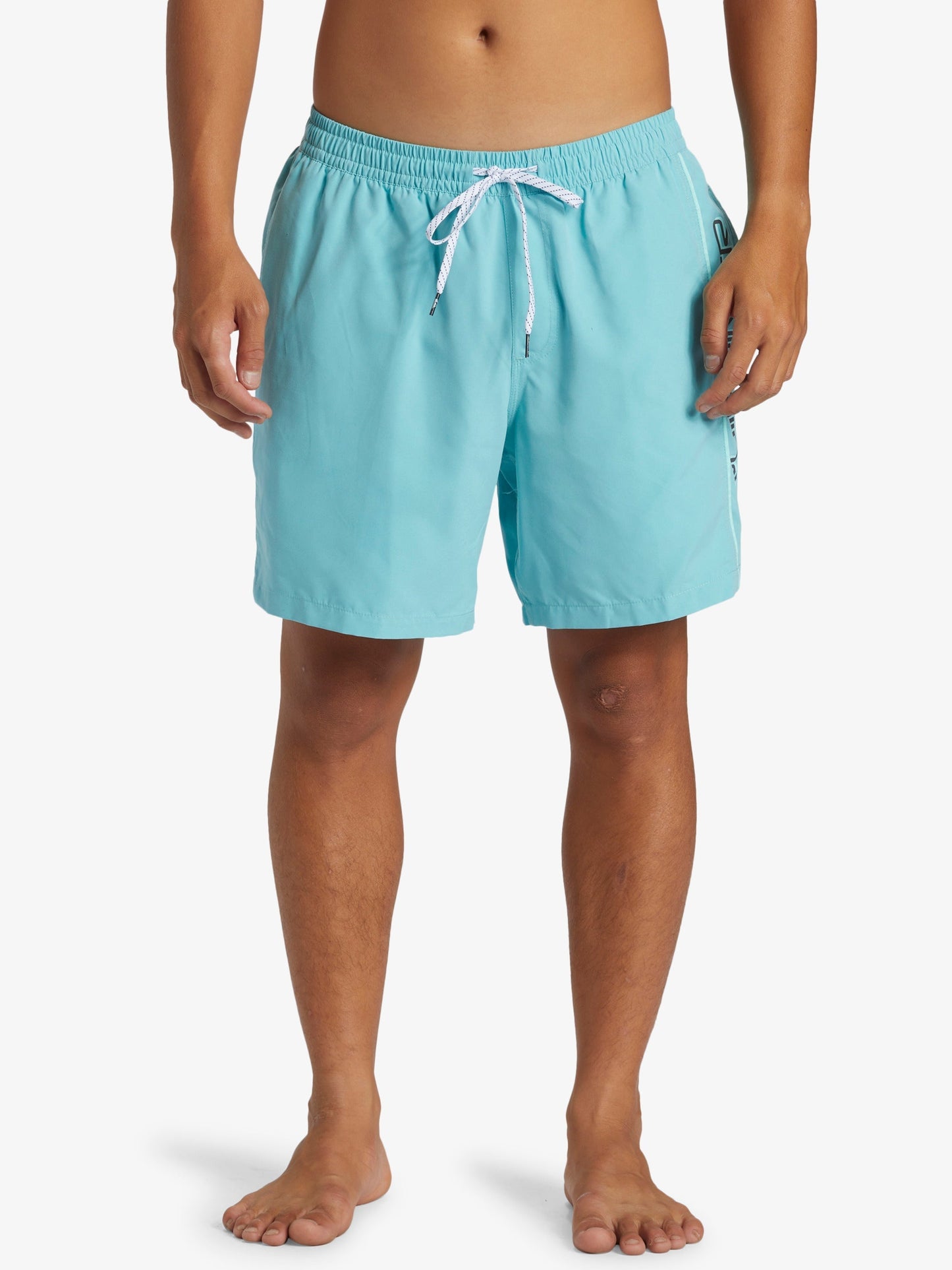 Mens Everyday Vert Volley 17" Swim Shorts - Quiksilver Malaysia