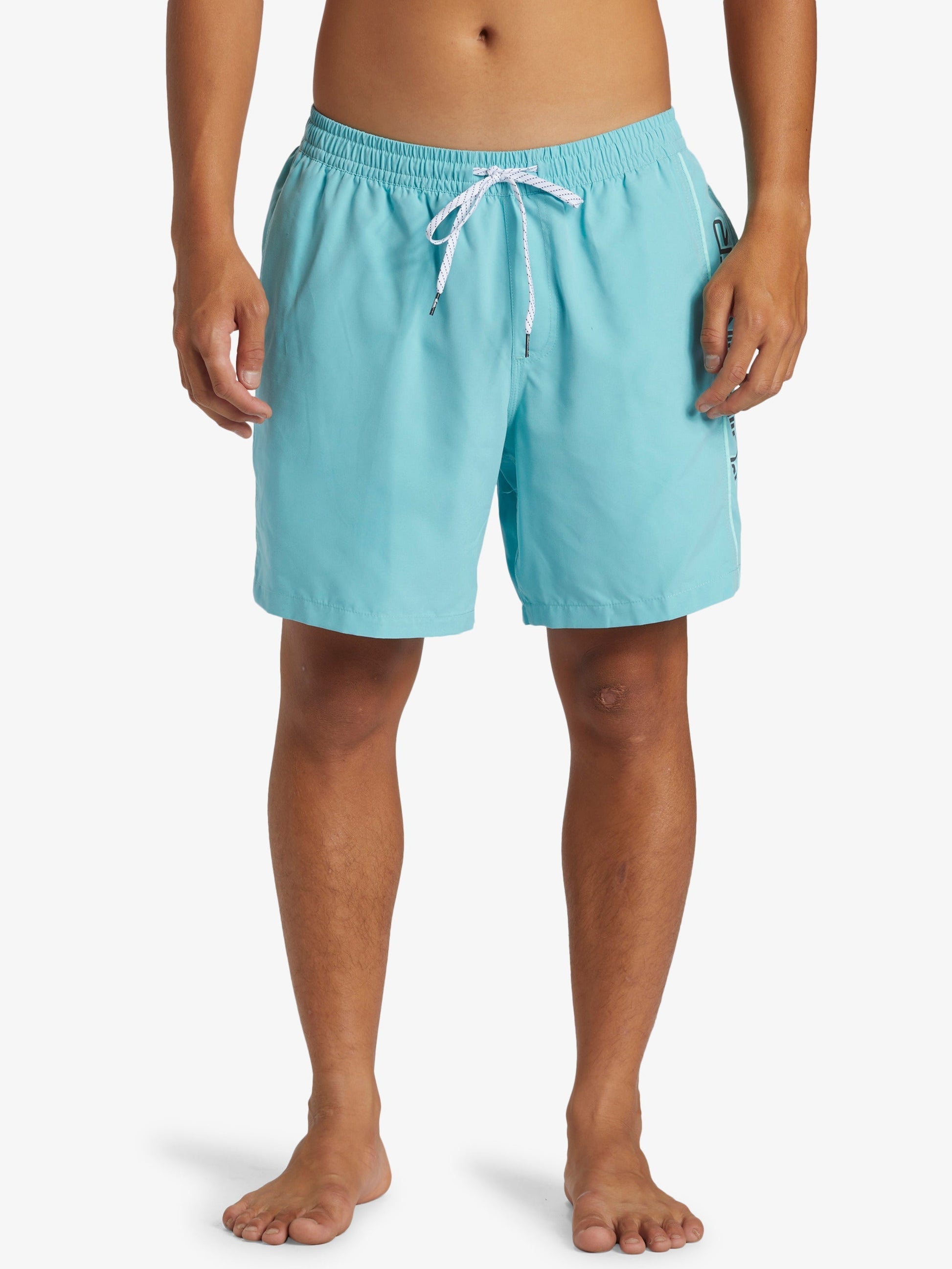 Mens Everyday Vert Volley 17" Swim Shorts - Quiksilver Malaysia