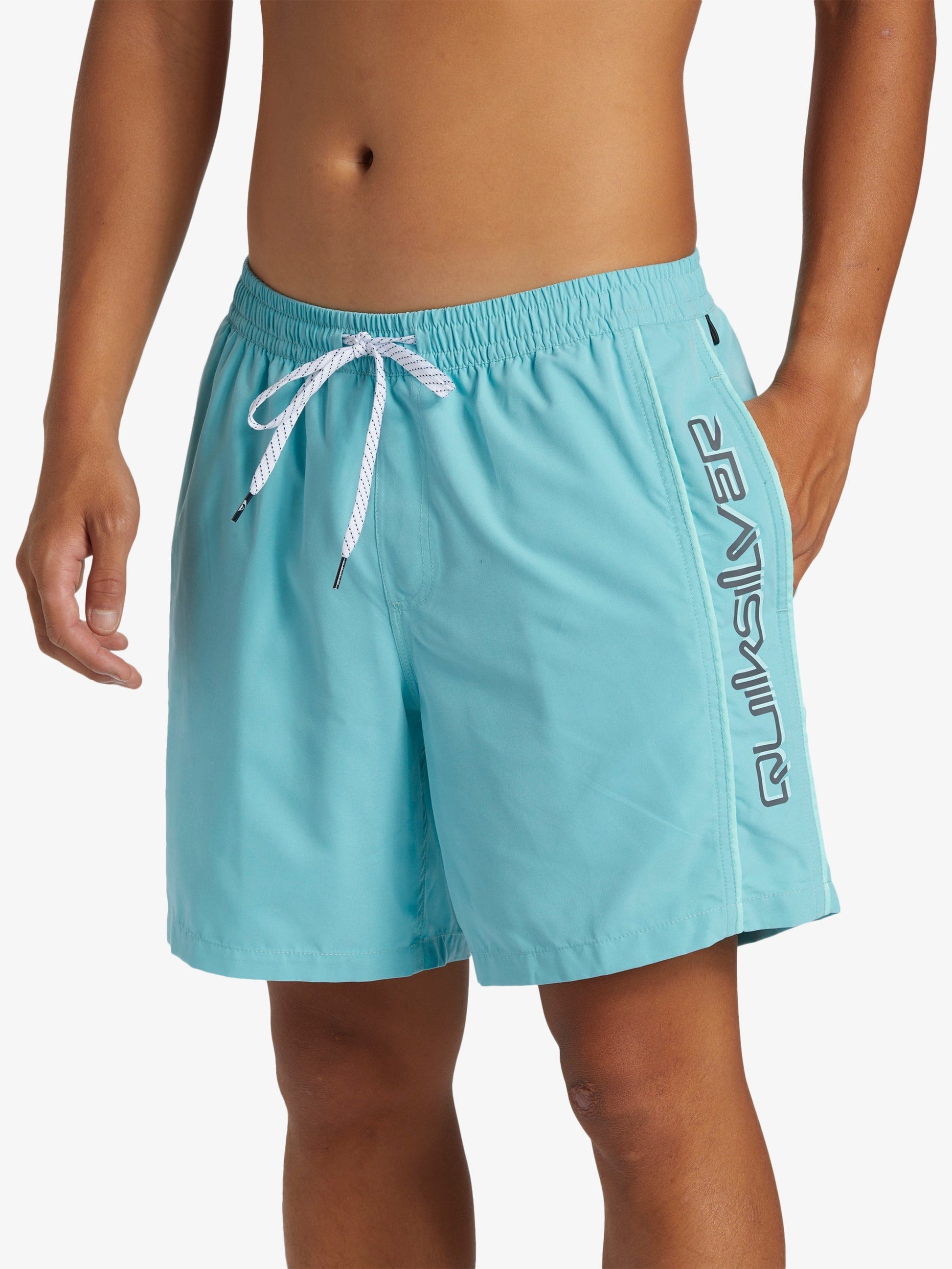 Mens Everyday Vert Volley 17" Swim Shorts - Quiksilver Malaysia