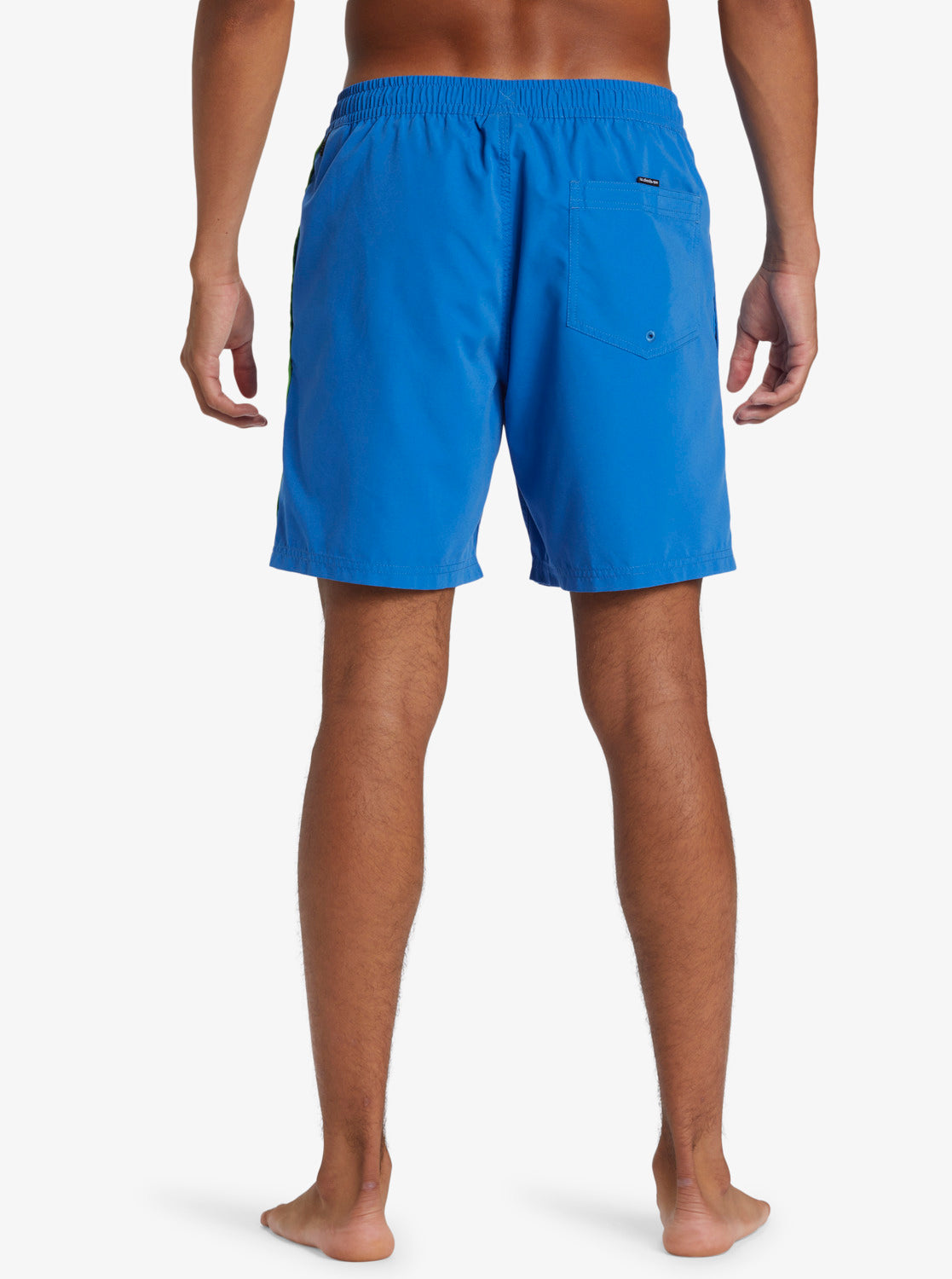 Mens Everyday Vert Volley 17" Swim Shorts - Quiksilver Malaysia