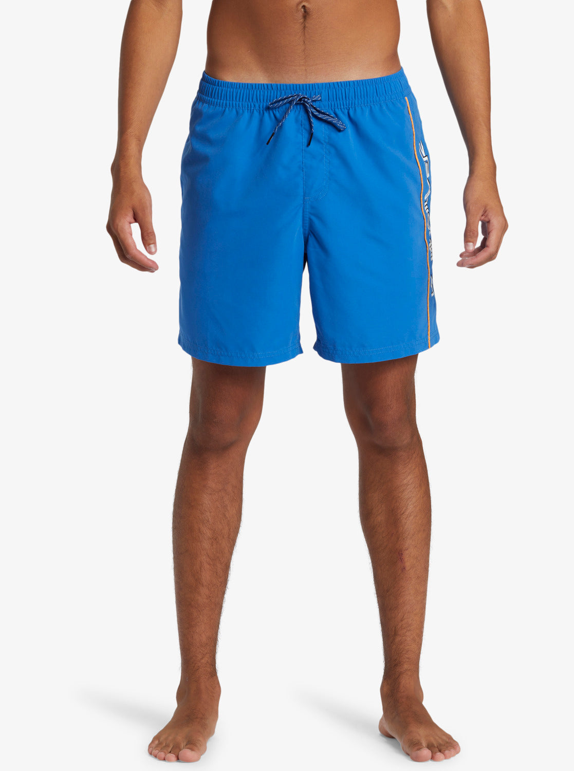 Mens Everyday Vert Volley 17" Swim Shorts - Quiksilver Malaysia