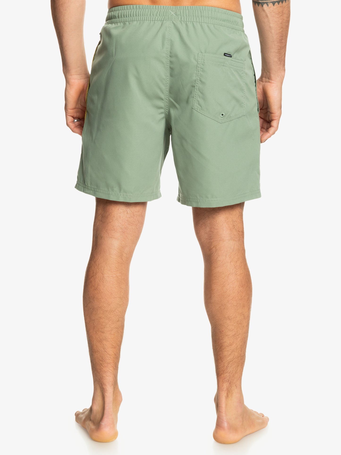 Mens Everyday Vert Volley 17" Swim Shorts - Quiksilver Malaysia