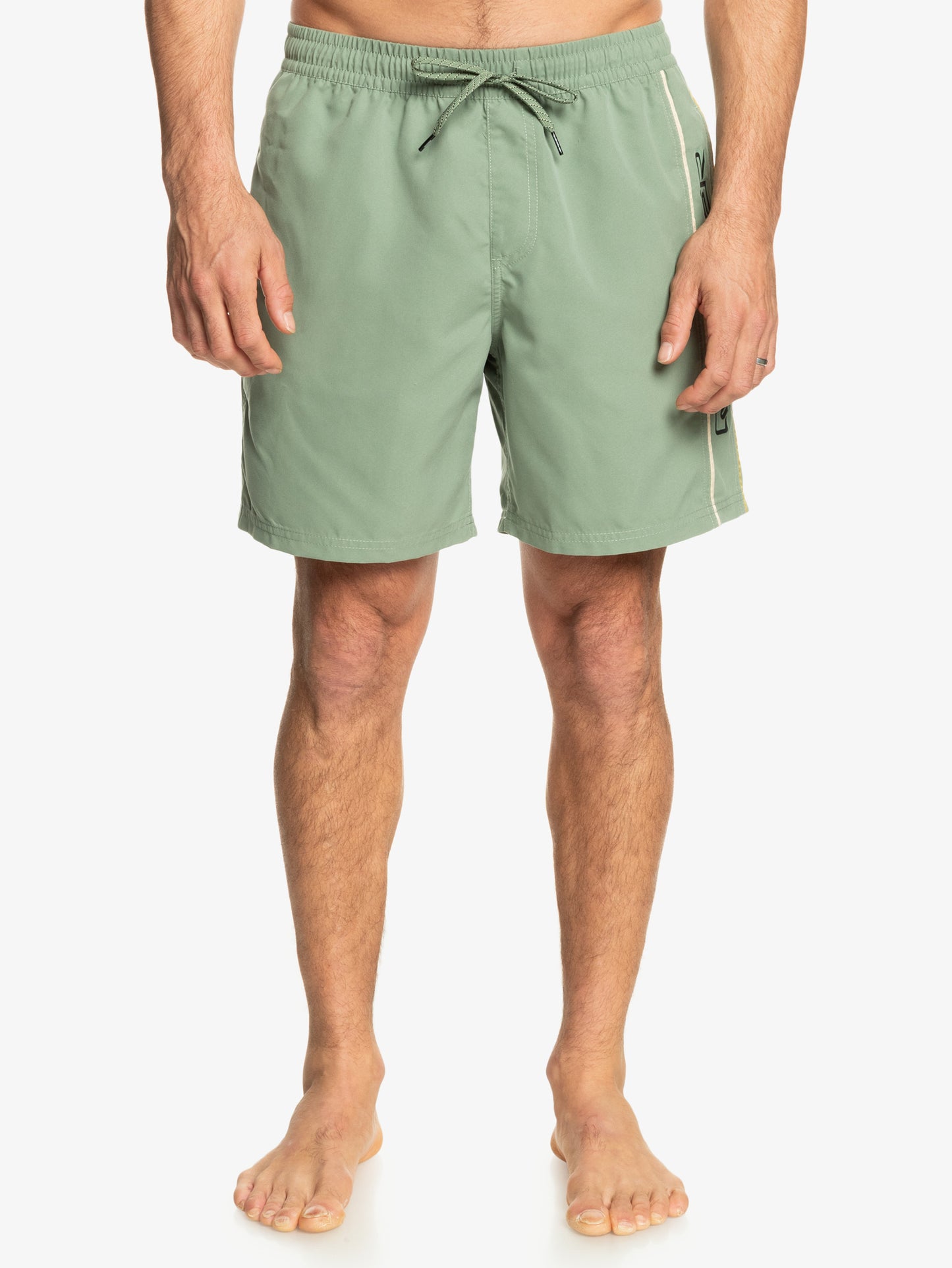 Mens Everyday Vert Volley 17" Swim Shorts - Quiksilver Malaysia