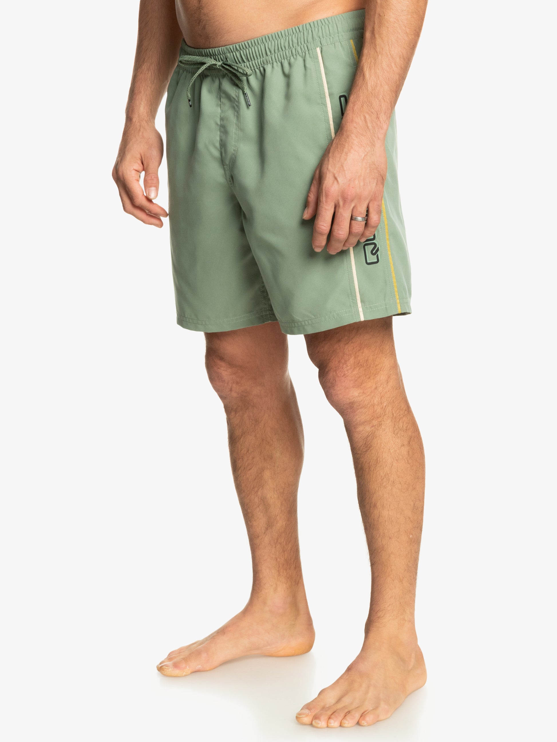 Mens Everyday Vert Volley 17" Swim Shorts - Quiksilver Malaysia