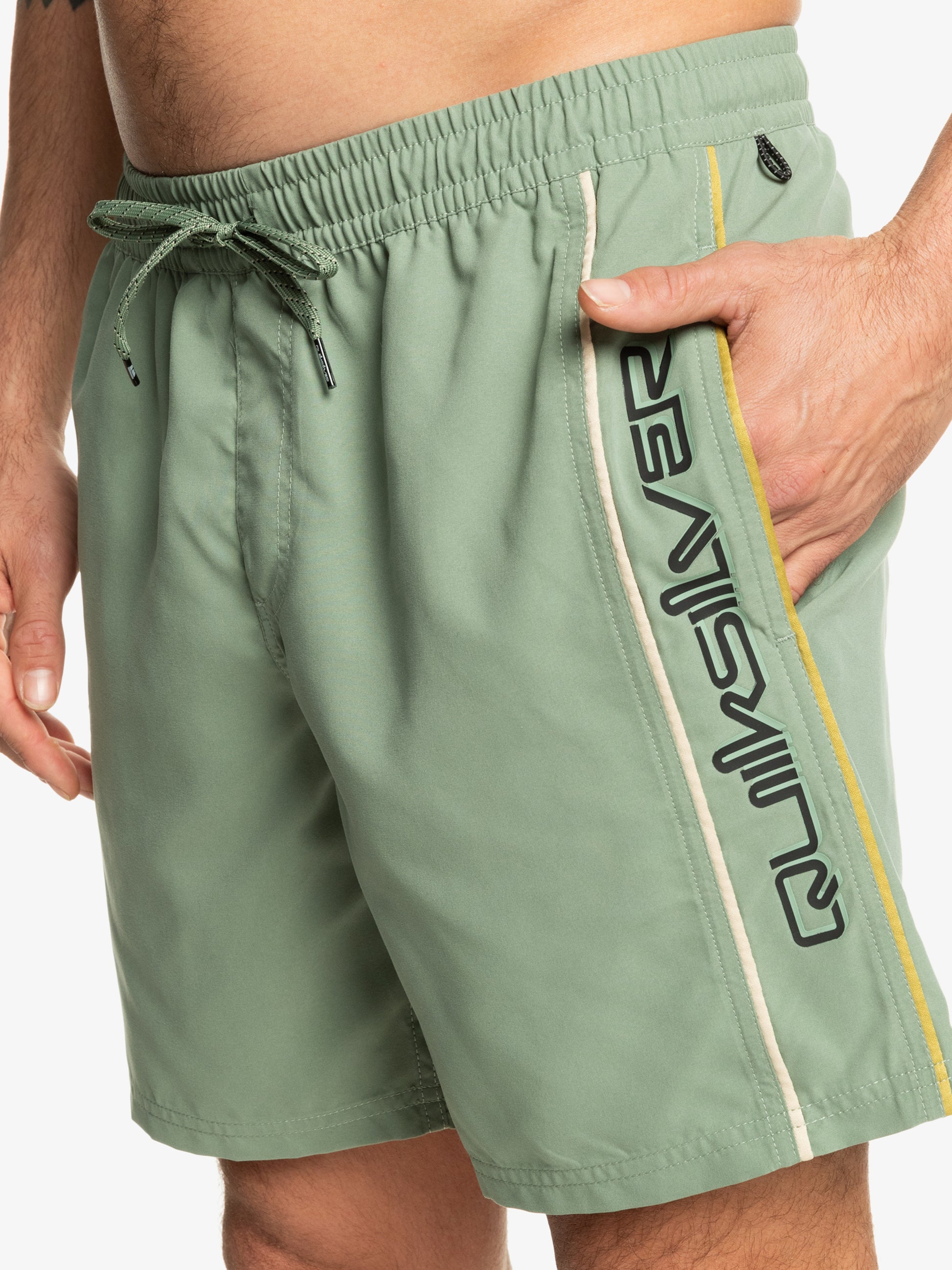 Mens Everyday Vert Volley 17" Swim Shorts - Quiksilver Malaysia