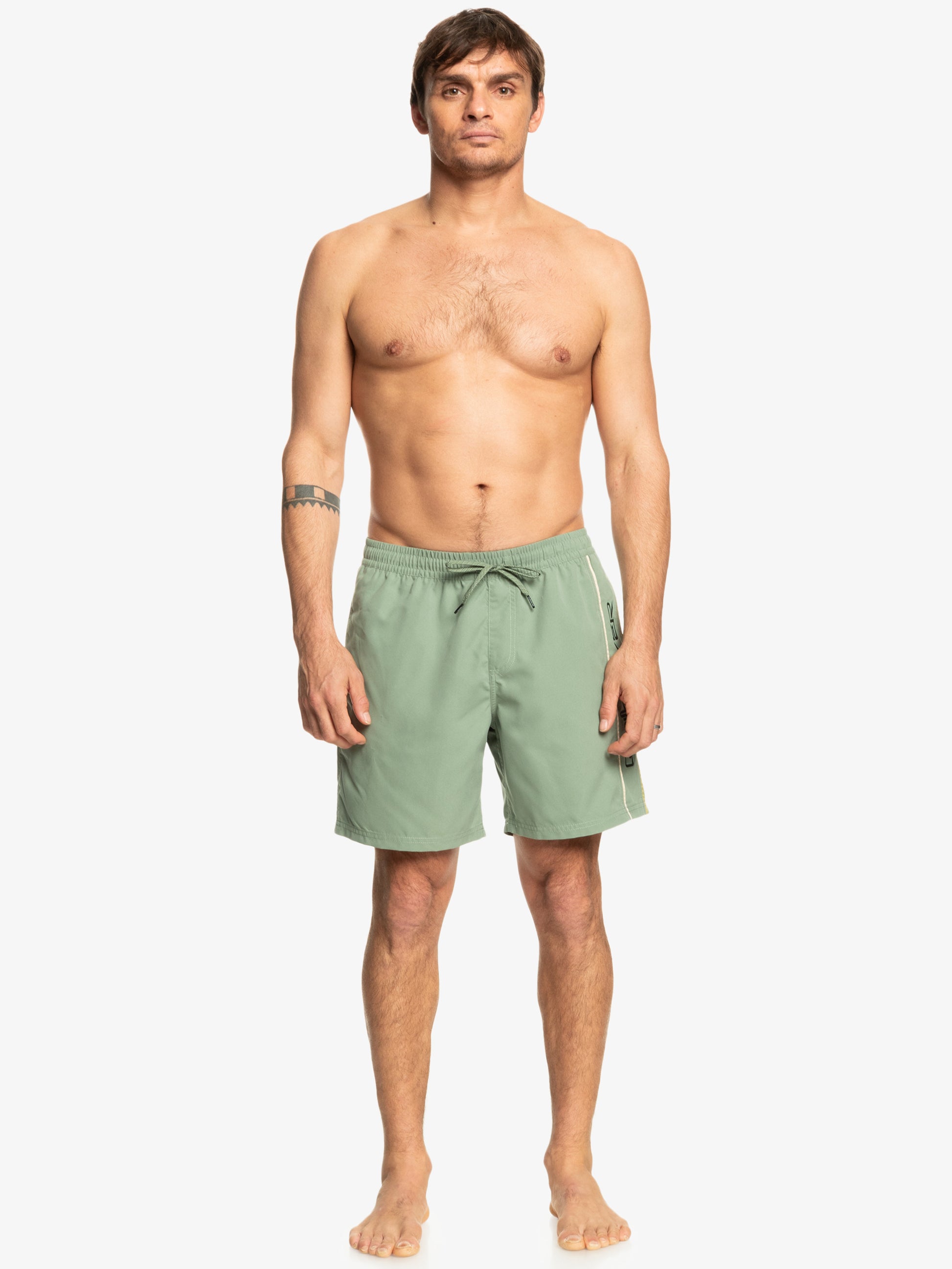 Mens Everyday Vert Volley 17" Swim Shorts - Quiksilver Malaysia