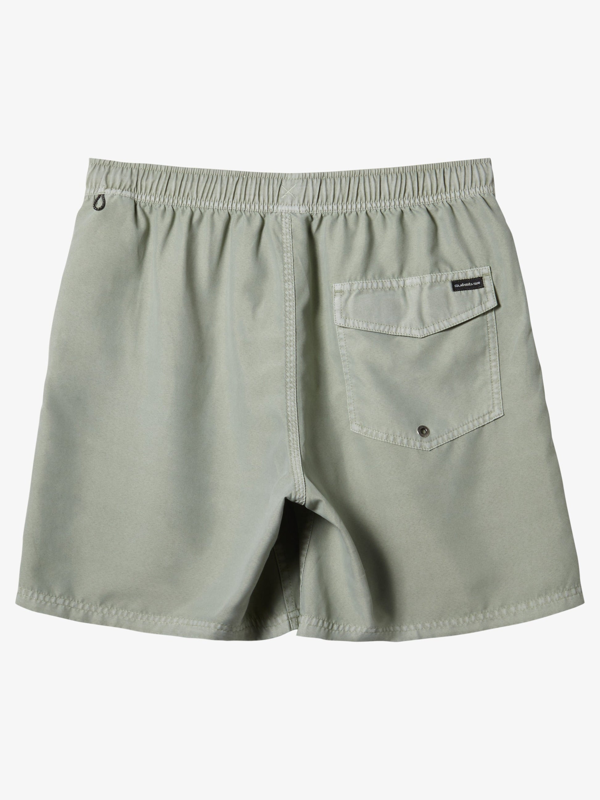 Mens Everyday Surfwash Volley 17" Swim Shorts - Quiksilver Malaysia