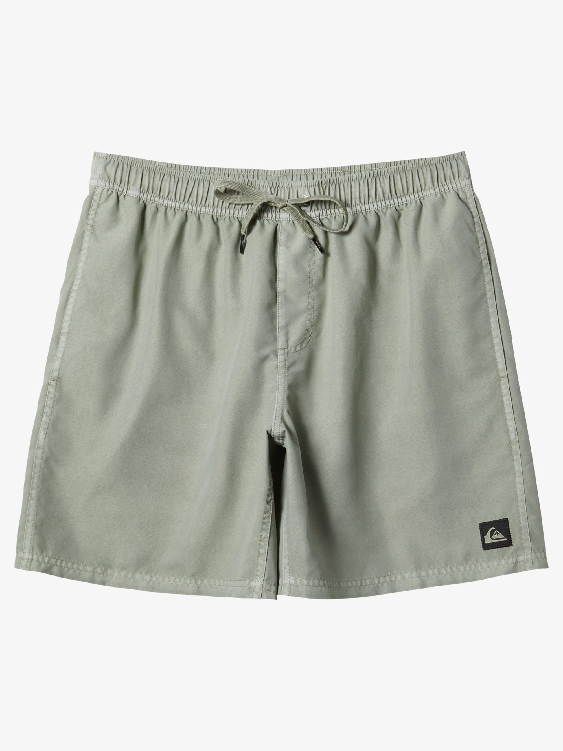 Mens Everyday Surfwash Volley 17" Swim Shorts - Quiksilver Malaysia