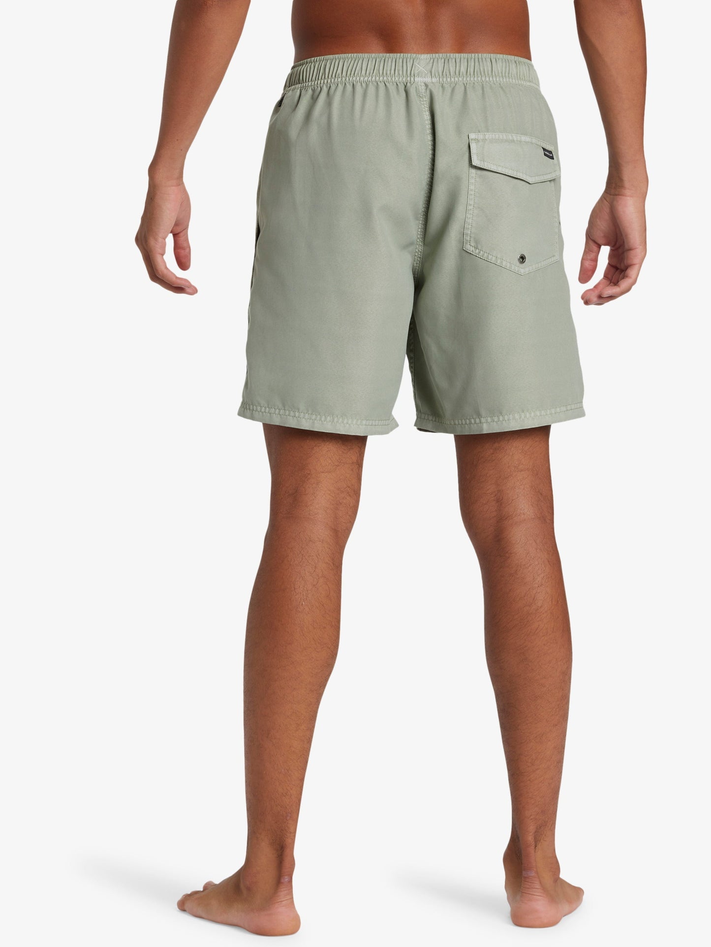 Mens Everyday Surfwash Volley 17" Swim Shorts - Quiksilver Malaysia