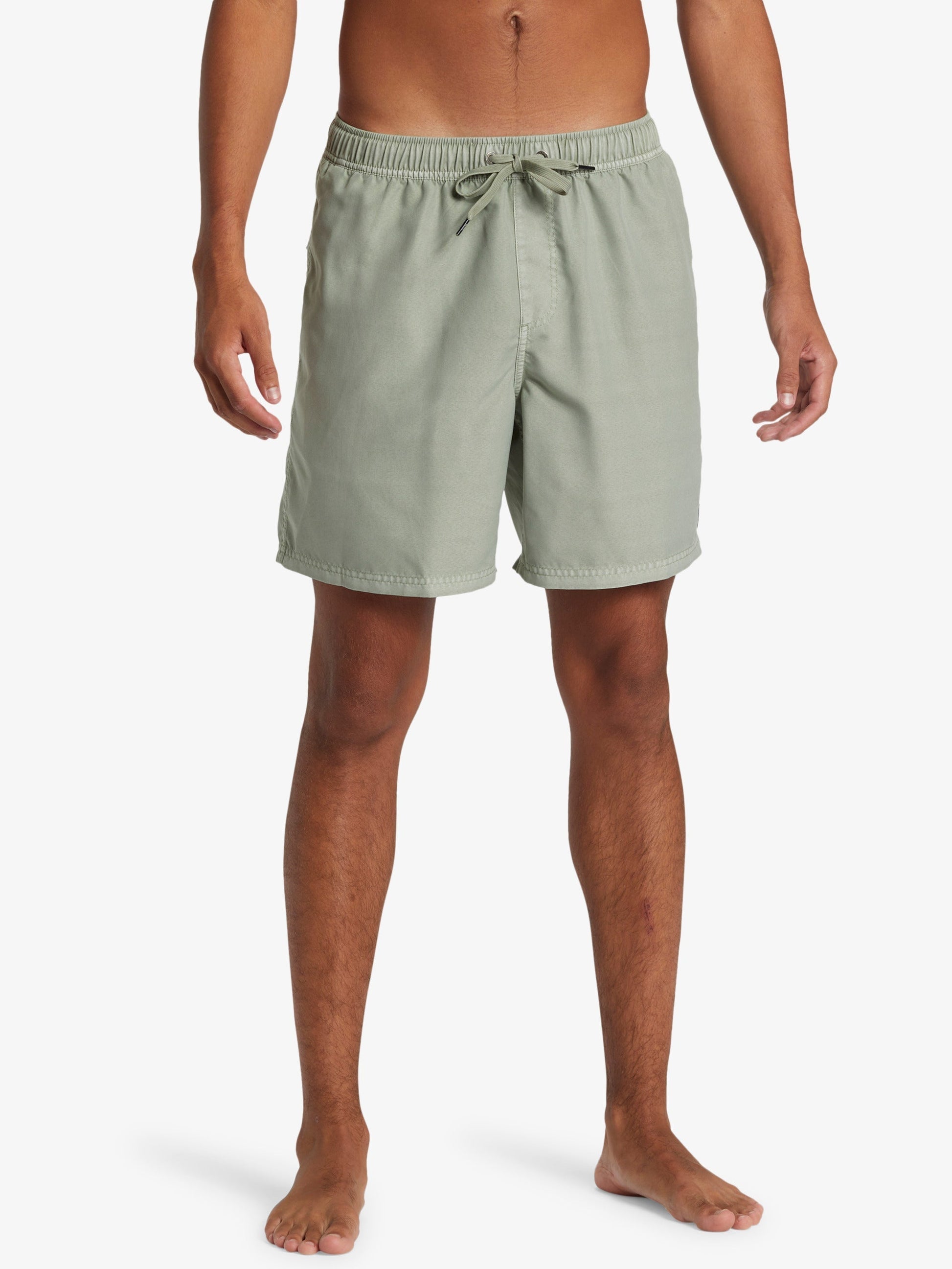 Mens Everyday Surfwash Volley 17" Swim Shorts - Quiksilver Malaysia