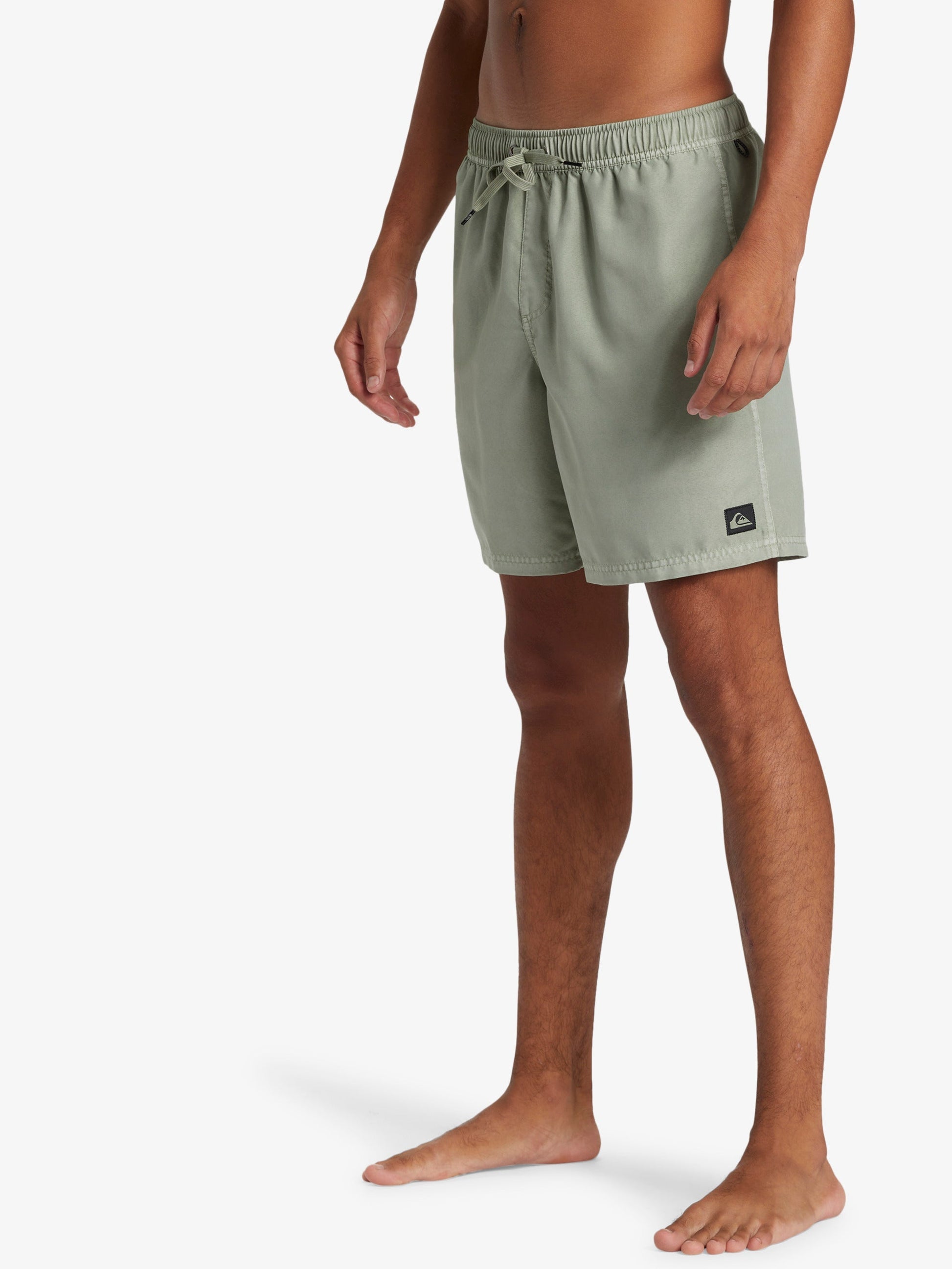 Mens Everyday Surfwash Volley 17" Swim Shorts - Quiksilver Malaysia