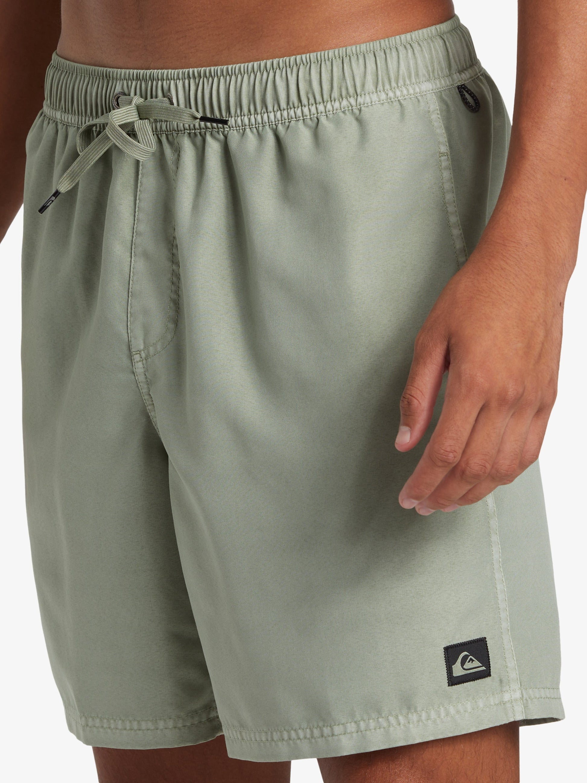 Mens Everyday Surfwash Volley 17" Swim Shorts - Quiksilver Malaysia