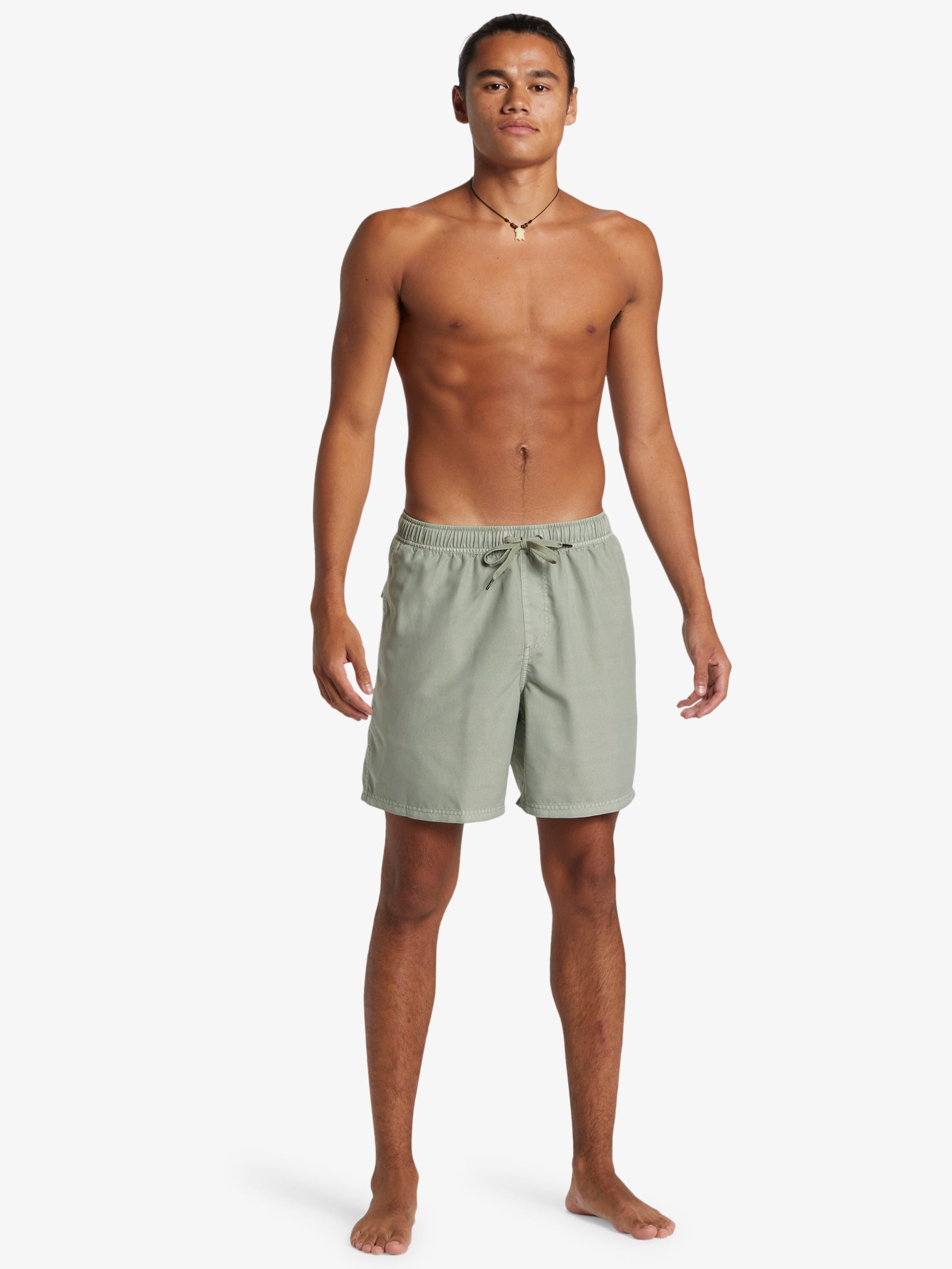 Mens Everyday Surfwash Volley 17" Swim Shorts - Quiksilver Malaysia