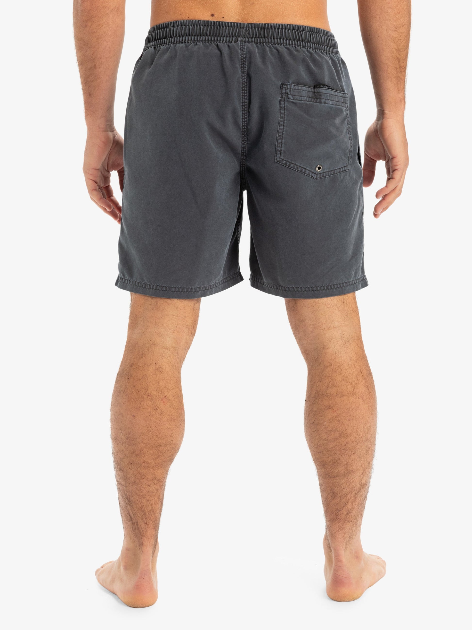 Mens Everyday Surfwash Volley 17" Swim Shorts - Quiksilver Malaysia