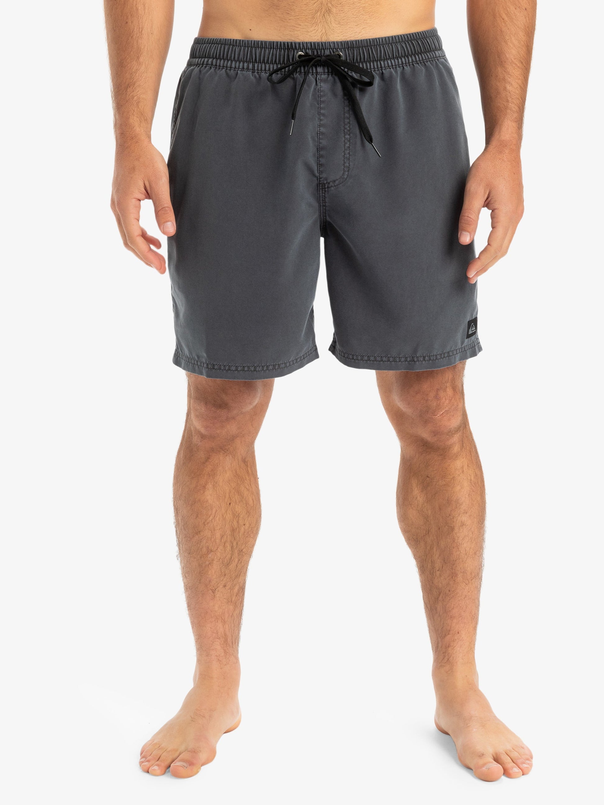 Mens Everyday Surfwash Volley 17" Swim Shorts - Quiksilver Malaysia