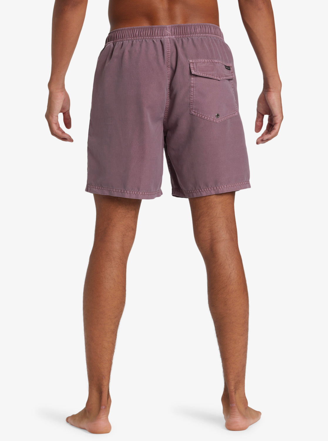 Mens Everyday Surfwash Volley 17" Swim Shorts - Quiksilver Malaysia