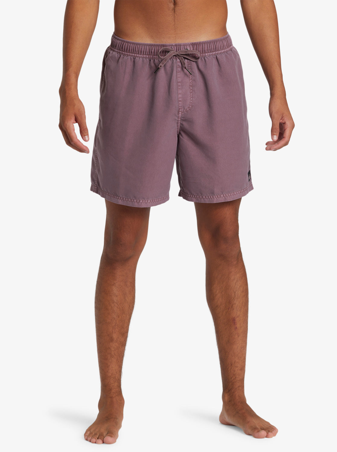 Mens Everyday Surfwash Volley 17" Swim Shorts - Quiksilver Malaysia