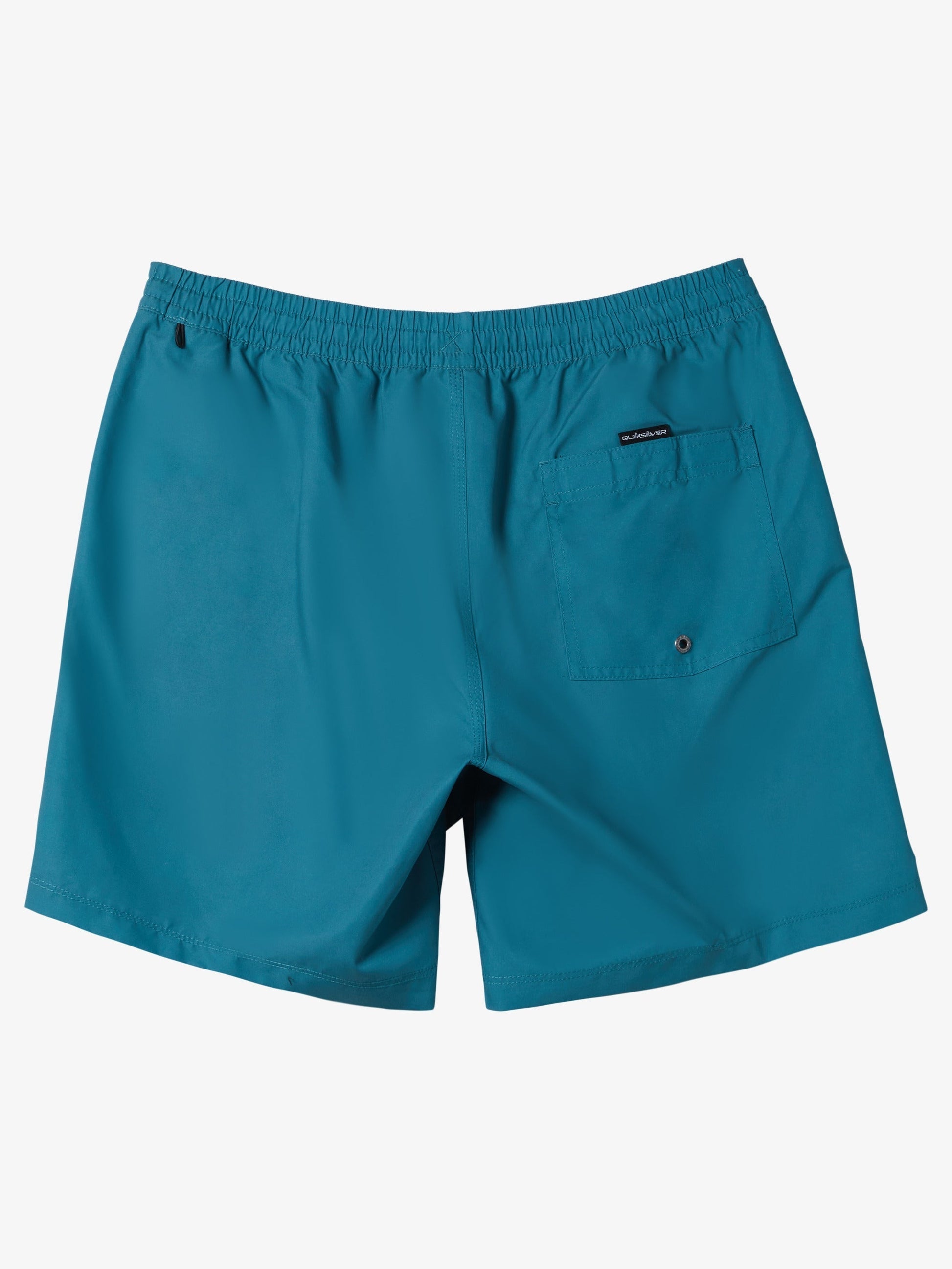 Mens Everyday Solid Volley 15" Swim Shorts - Quiksilver Malaysia