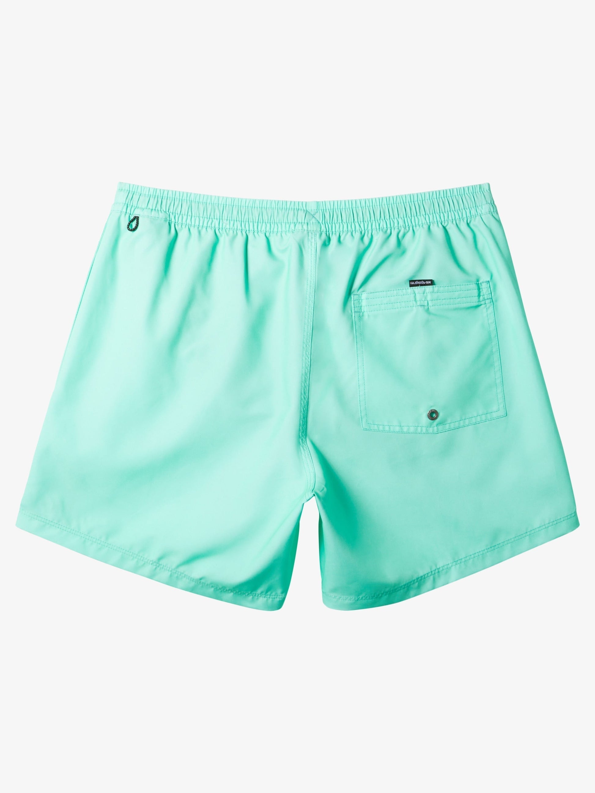 Mens Everyday Solid Volley 15" Swim Shorts - Quiksilver Malaysia