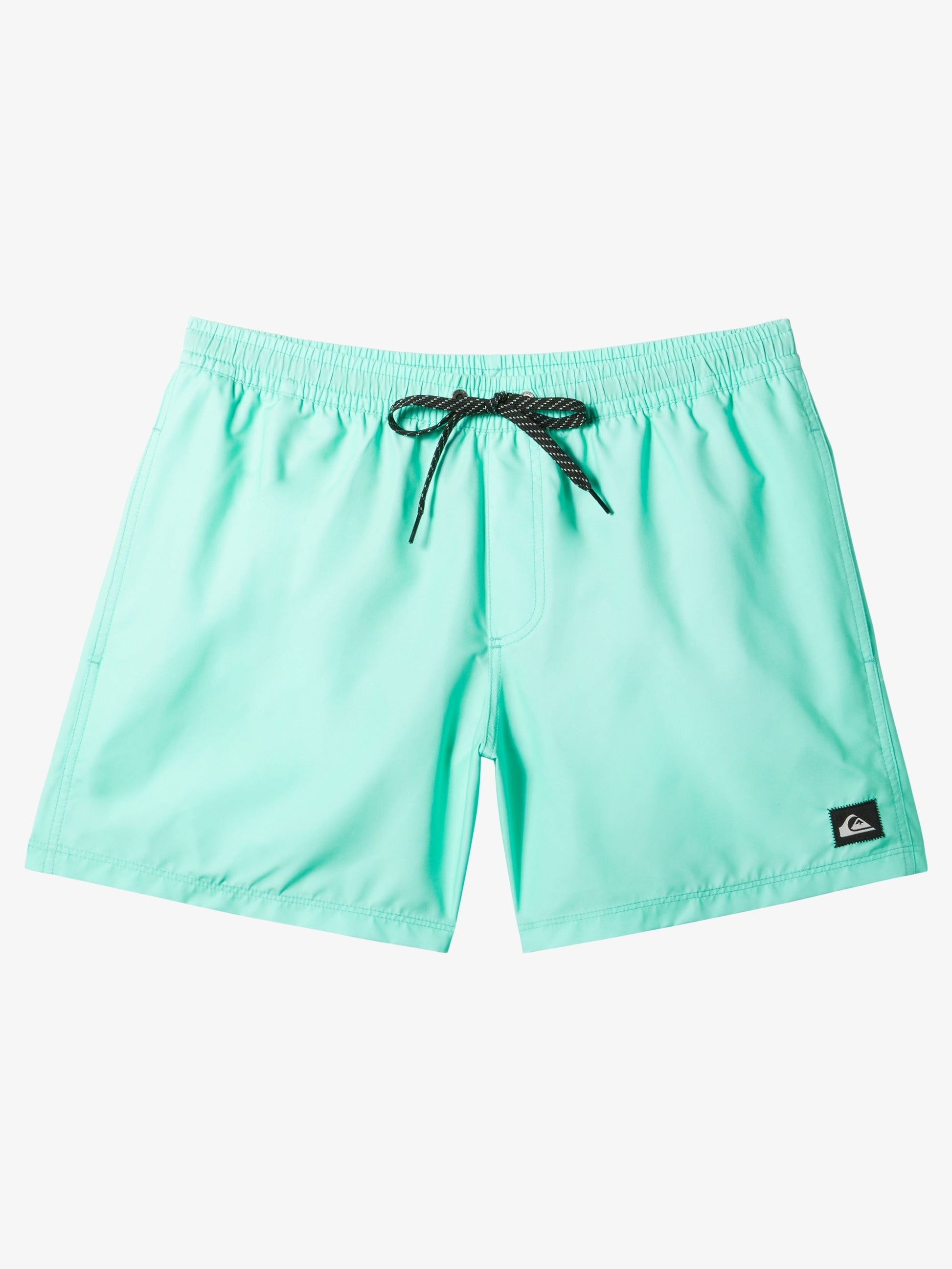 Mens Everyday Solid Volley 15" Swim Shorts - Quiksilver Malaysia